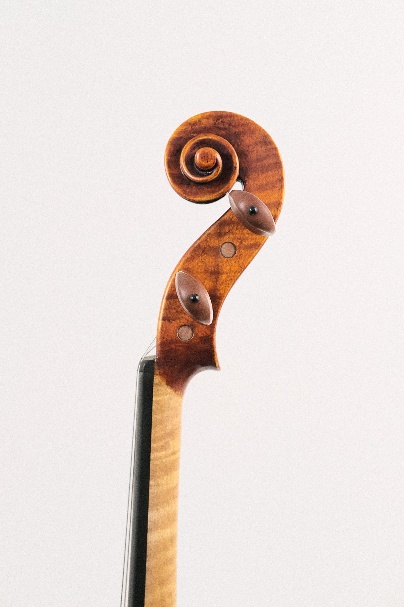 August F. Kohr Antiqued Varnish HC622