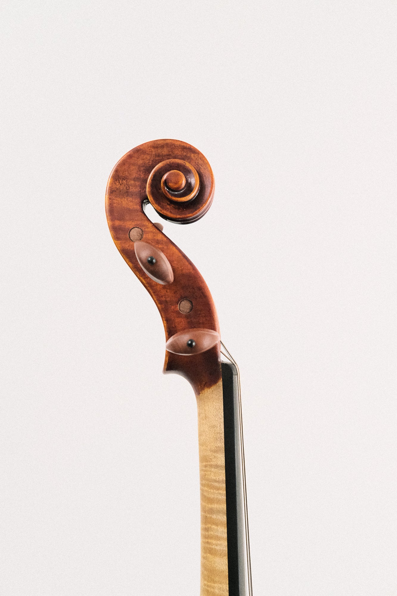 August F. Kohr Antiqued Varnish HC622