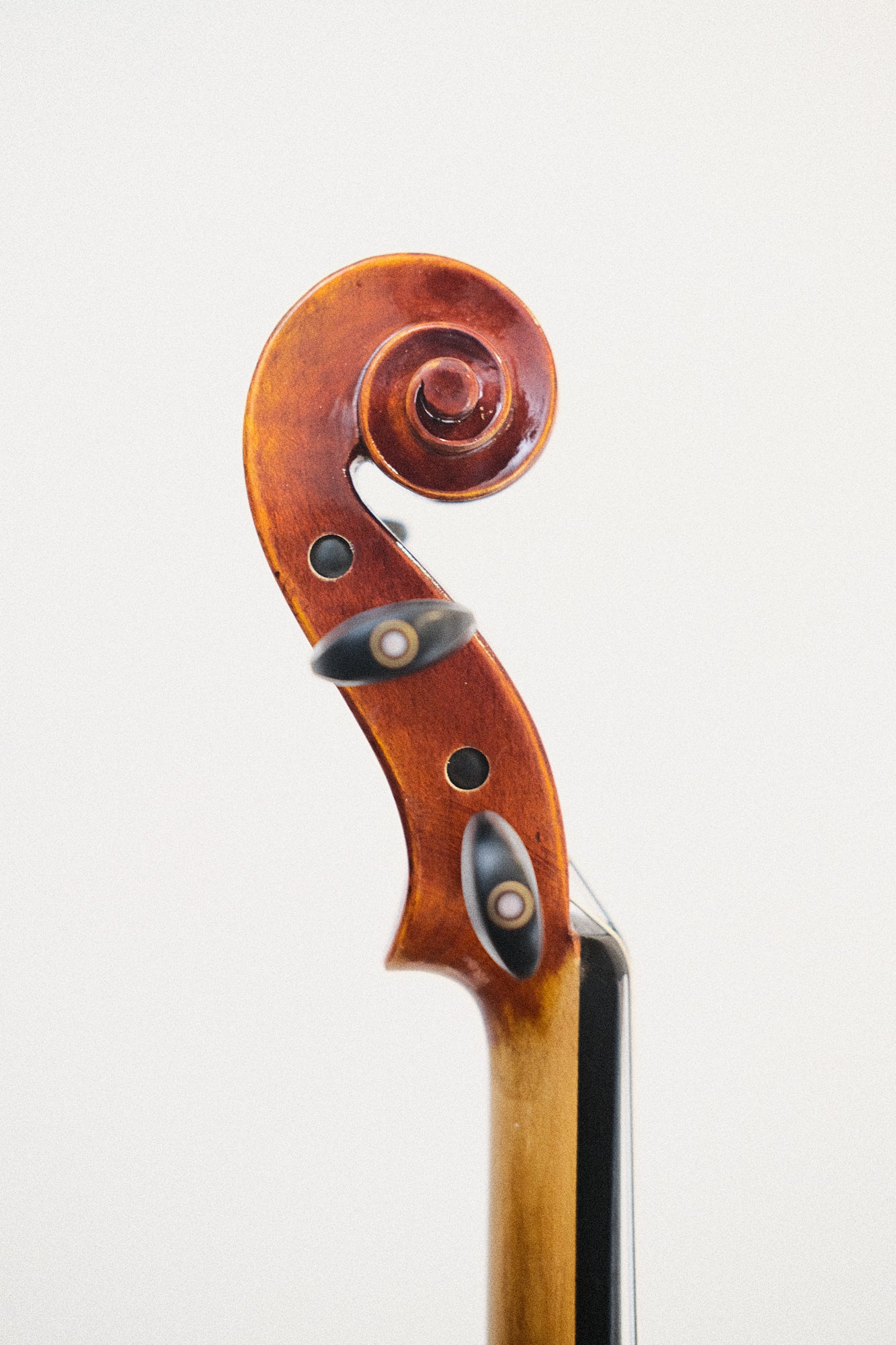 Burgundy Violin 4/4 #46147