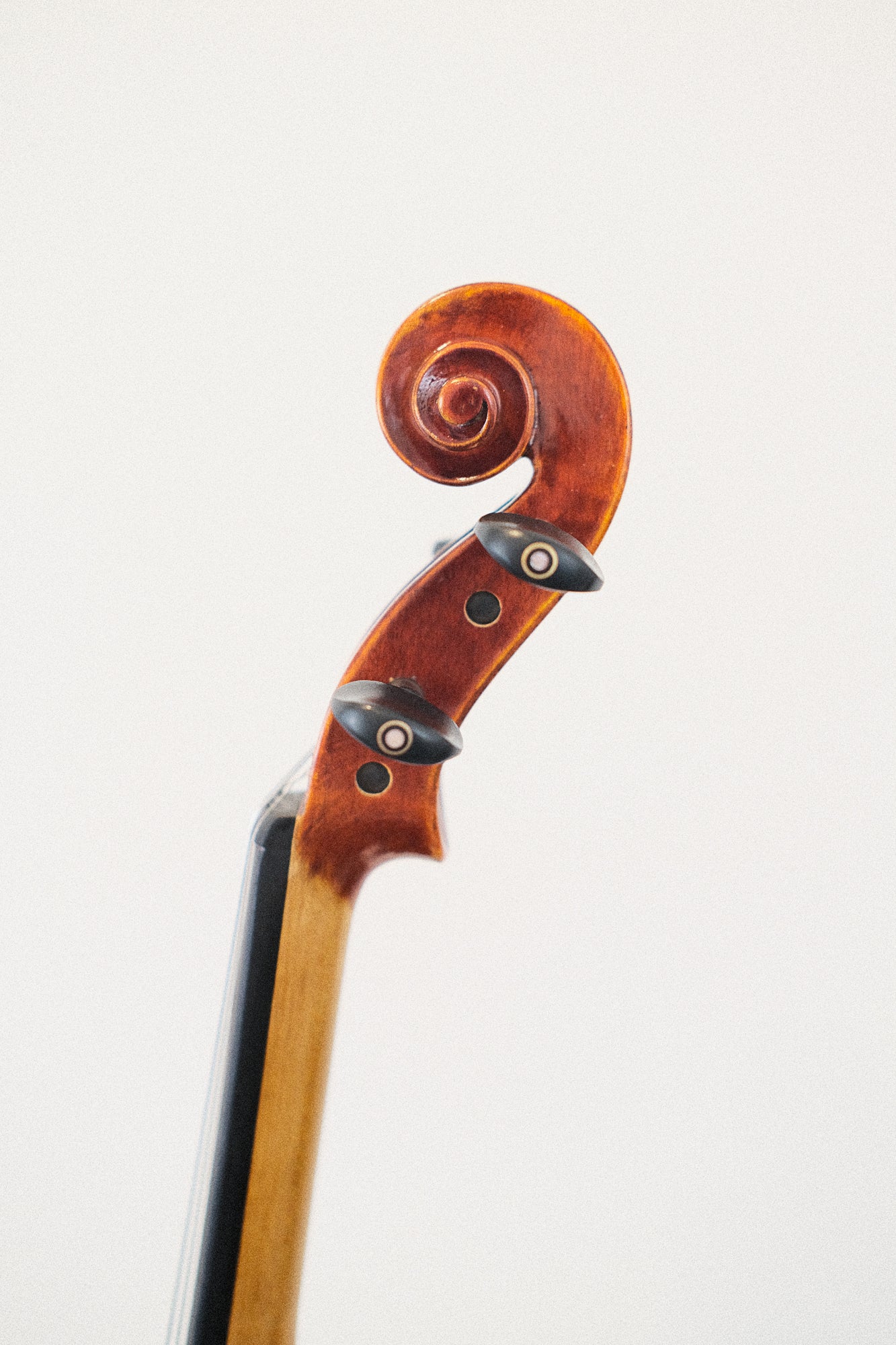 Burgundy Violin 4/4 #46147
