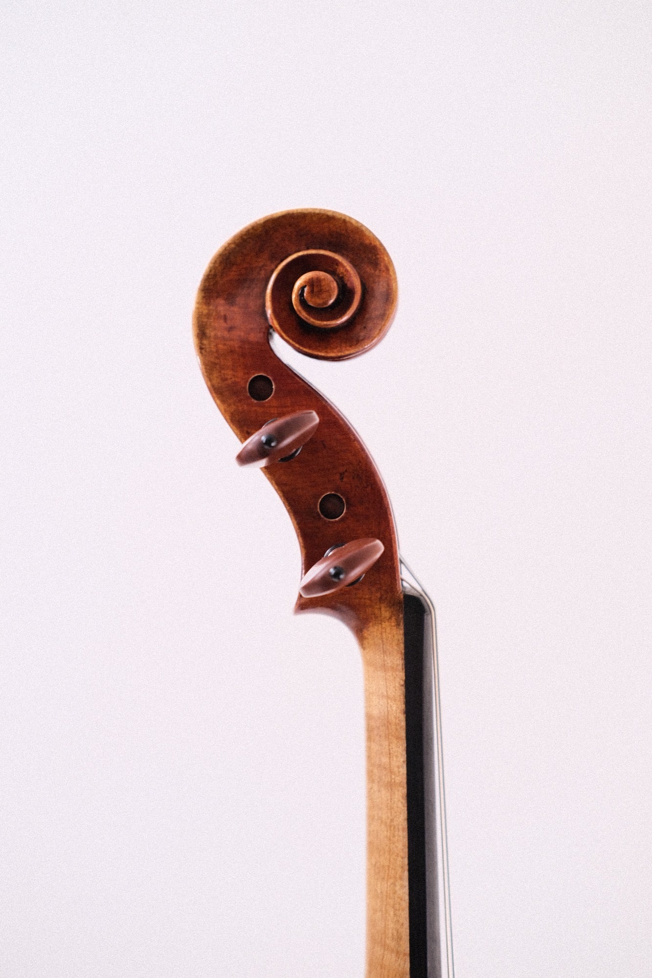 Core Select CS1000 Violin 4/4