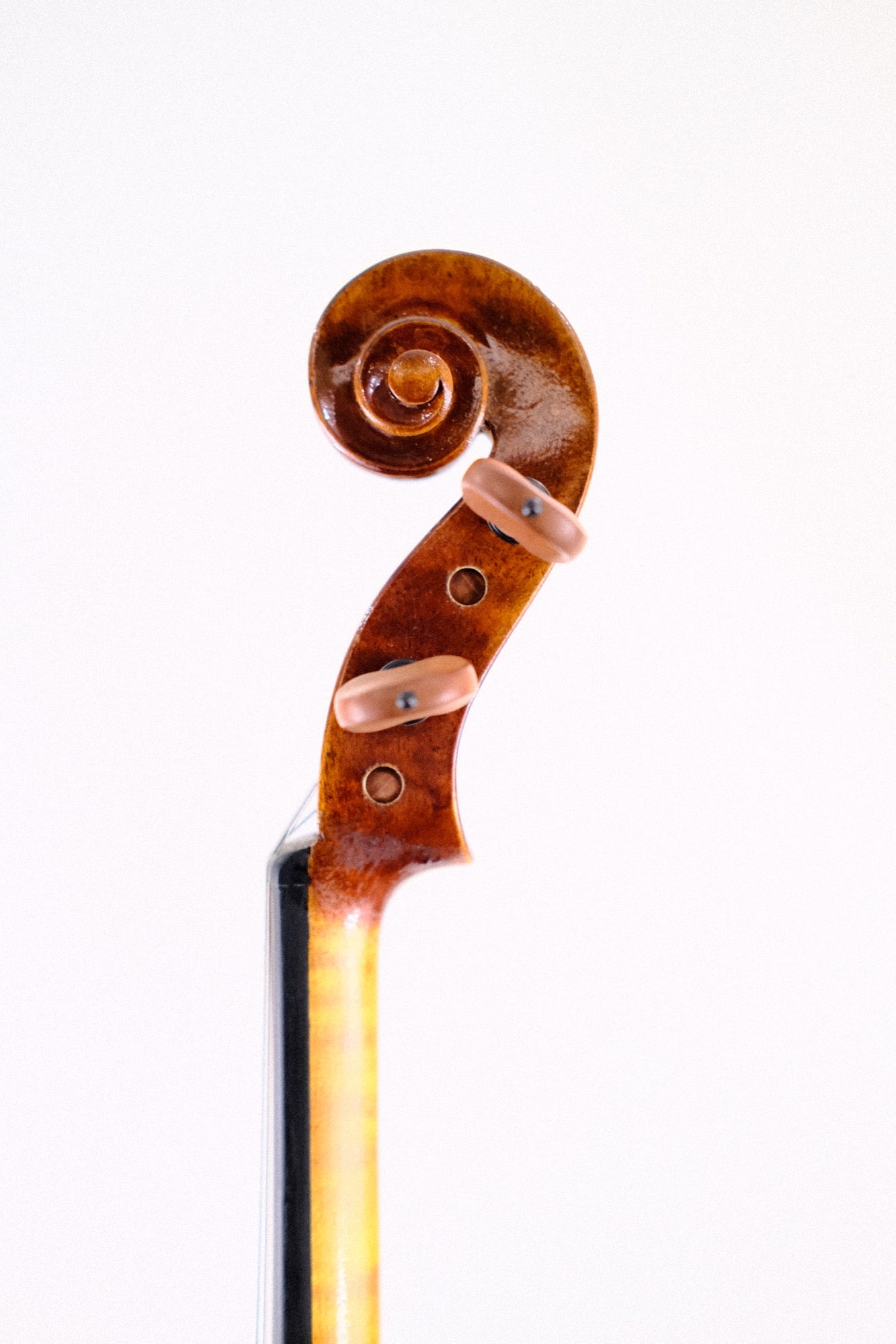 Cedar Strings CG Violin