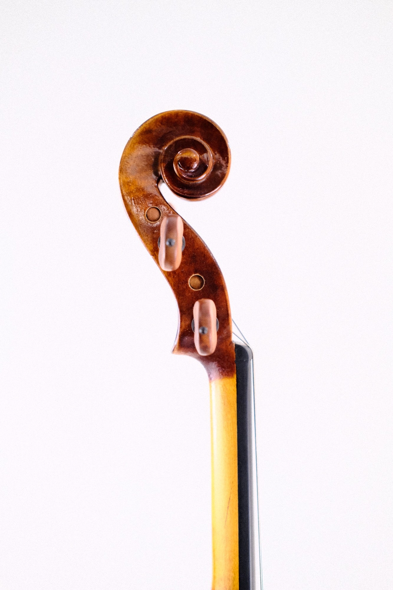 Cedar Strings CG Violin