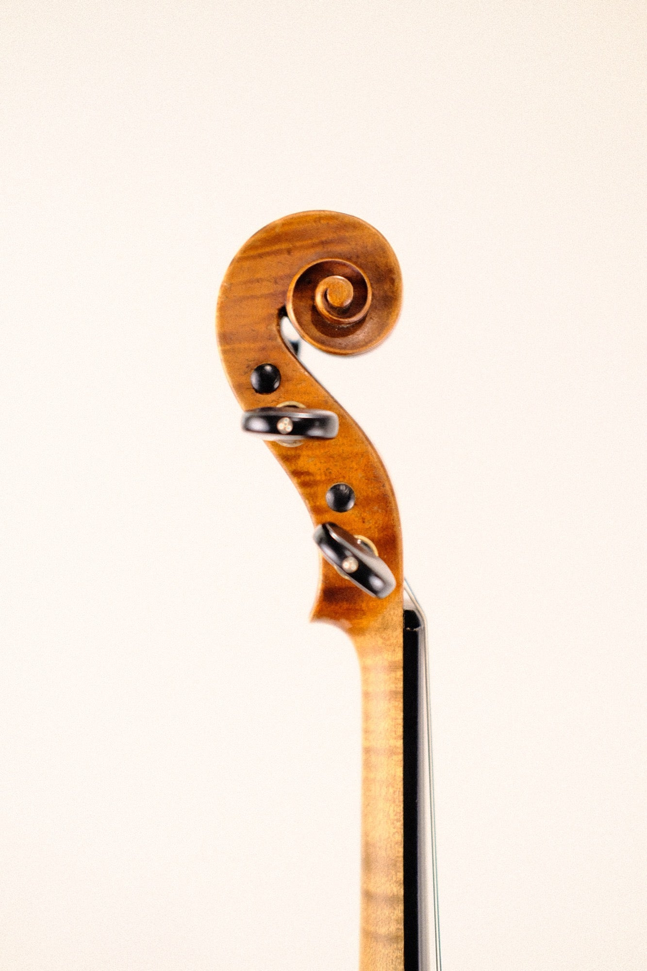 "The Soloist" Violin
