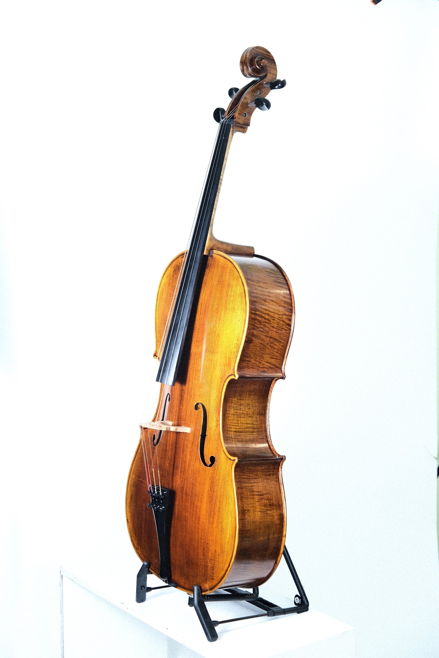 Shen SB300 Cello - Strad Pattern - 4/4