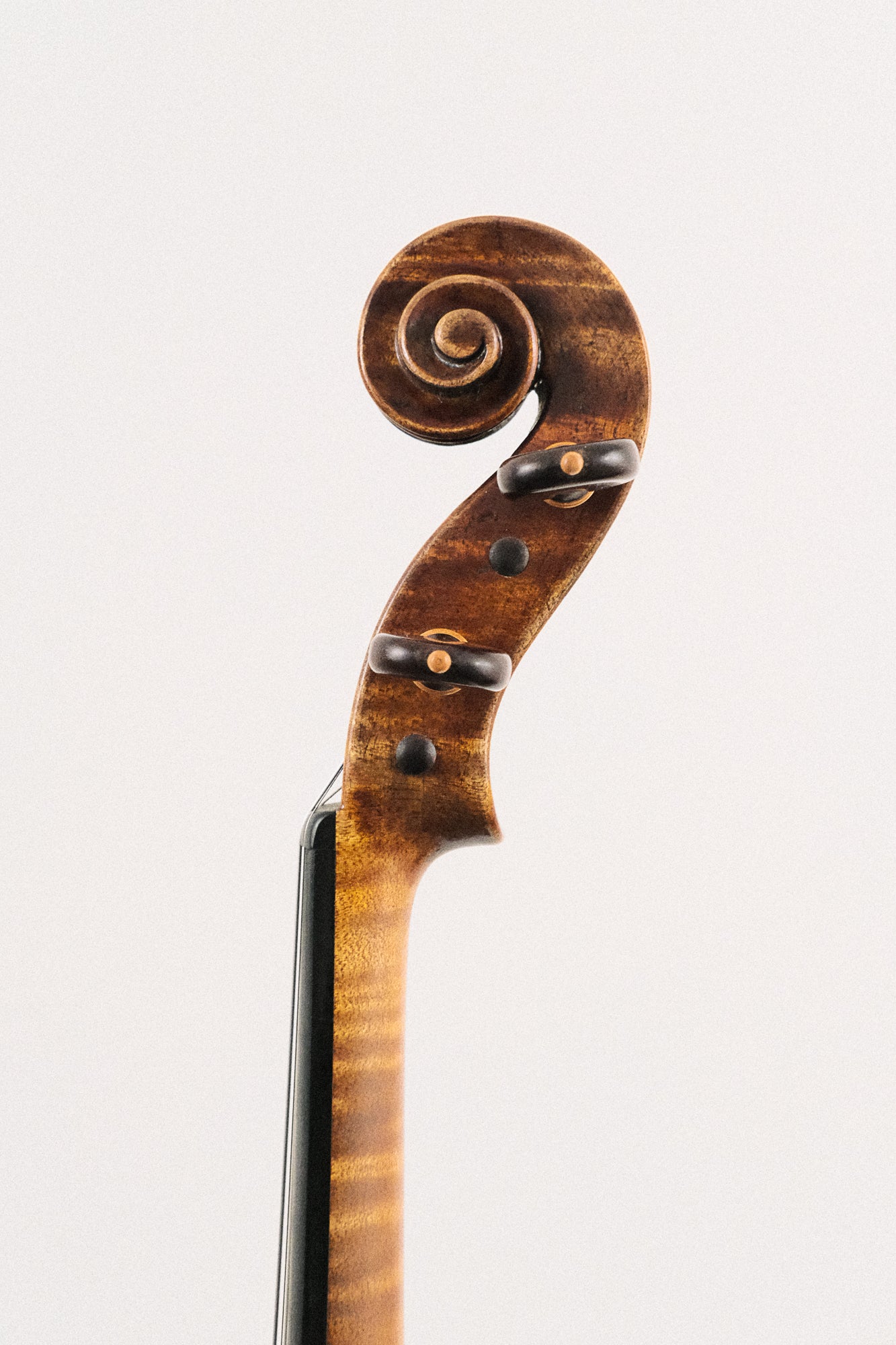 Dragon 4/4 Violin Model DR50 2013