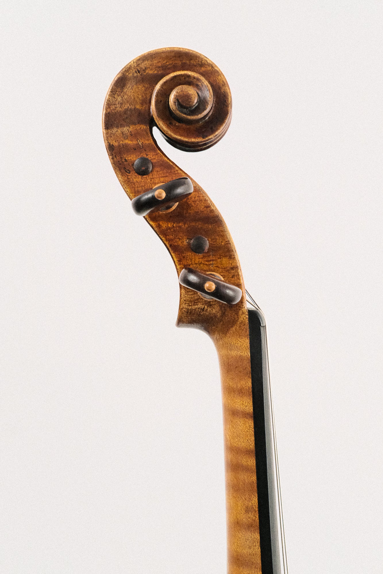 Dragon 4/4 Violin Model DR50 2013
