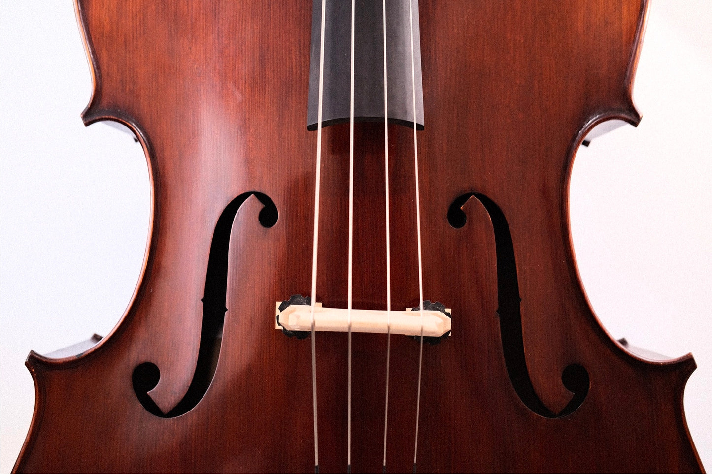 Eastman 3/4 Carved Bass by Eastman, Model 305