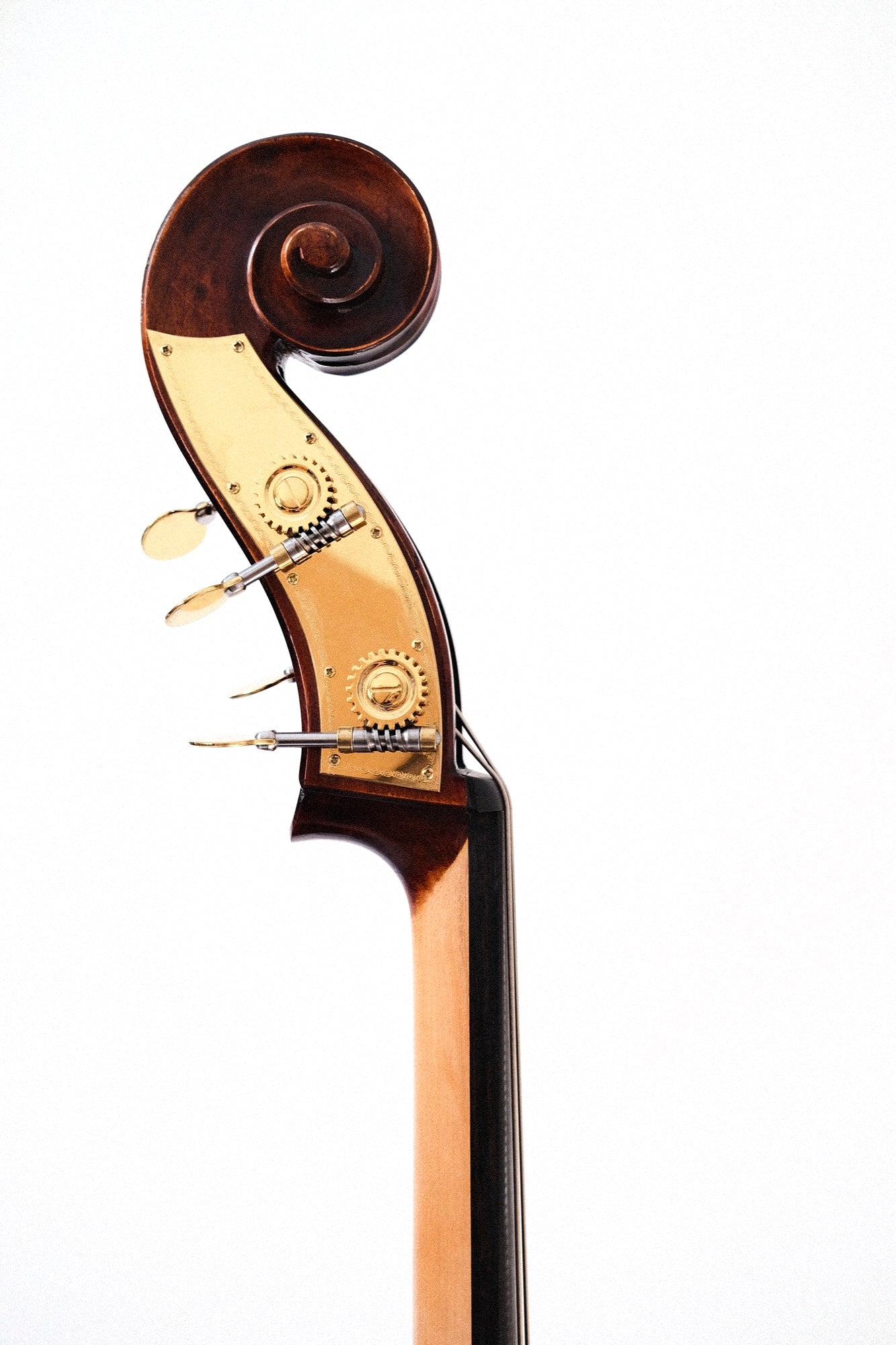 Eastman 3/4 Carved Bass by Eastman, Model 305