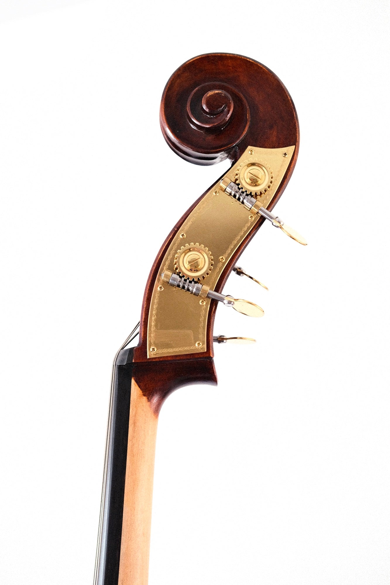 Eastman 3/4 Carved Bass by Eastman, Model 305