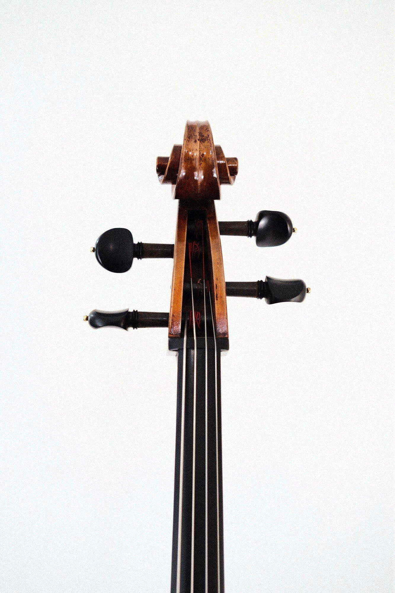Eastman 30th Anniversary Cello - Montagnana w/Poplar Back R2201726