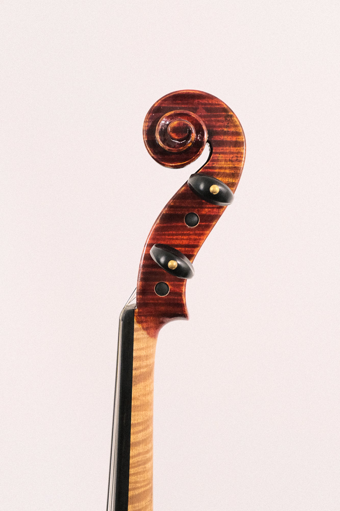 Andreas Eastman 4/4 Violin Model VL605