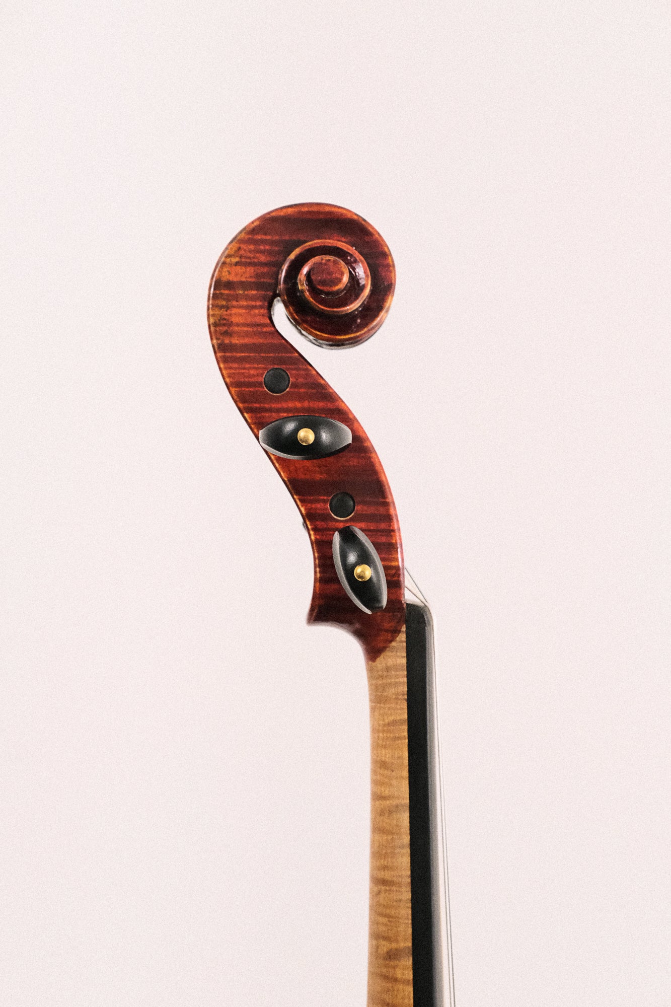 Andreas Eastman 4/4 Violin Model VL605