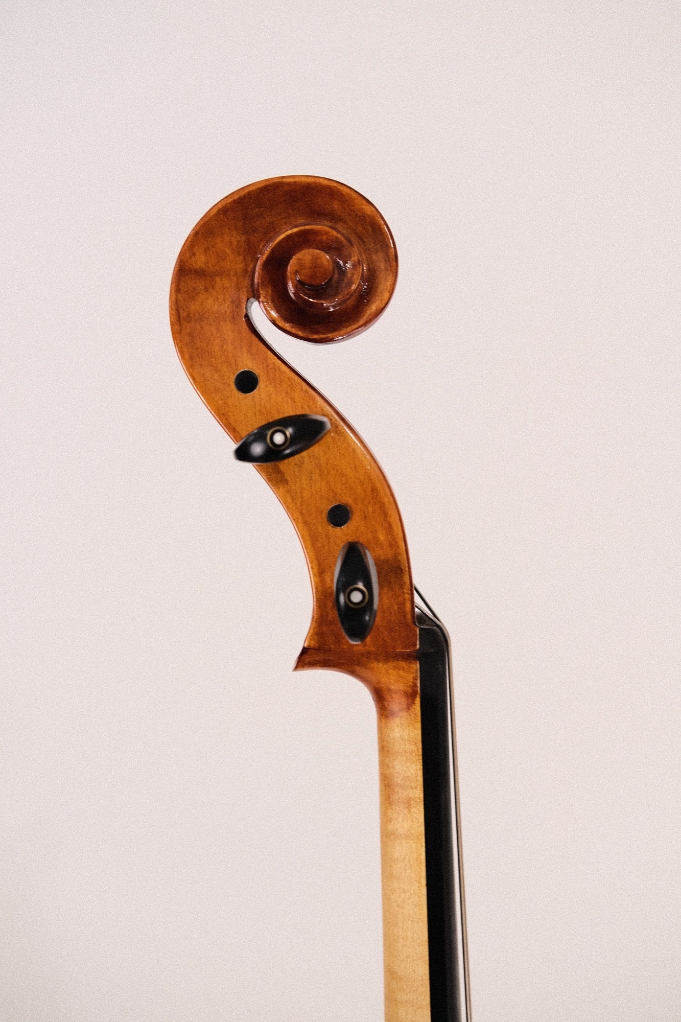 Esplanade 4/4 Cello with Bag and Bow