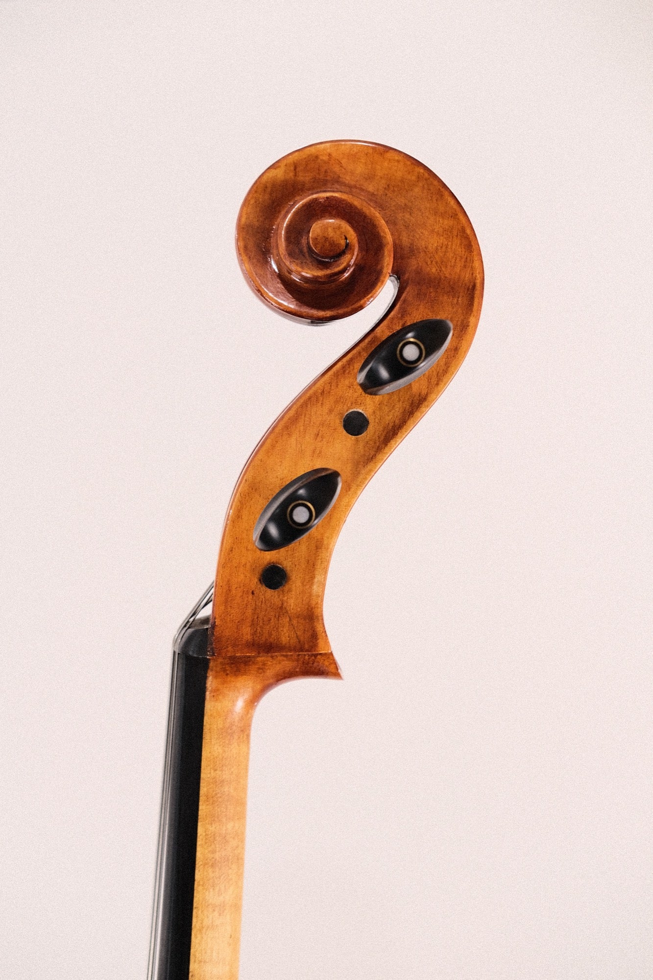 Esplanade 4/4 Cello with Bag and Bow