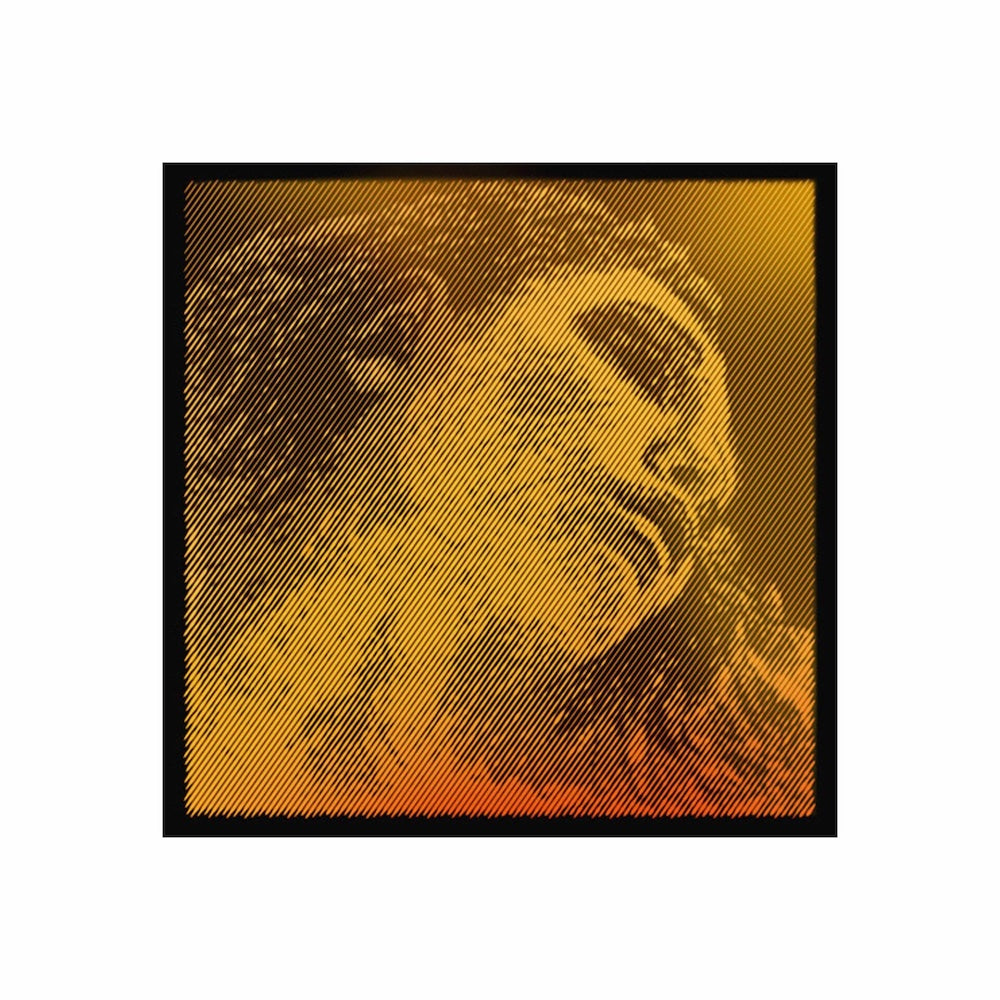 Evah Pirazzi Gold Violin D String
