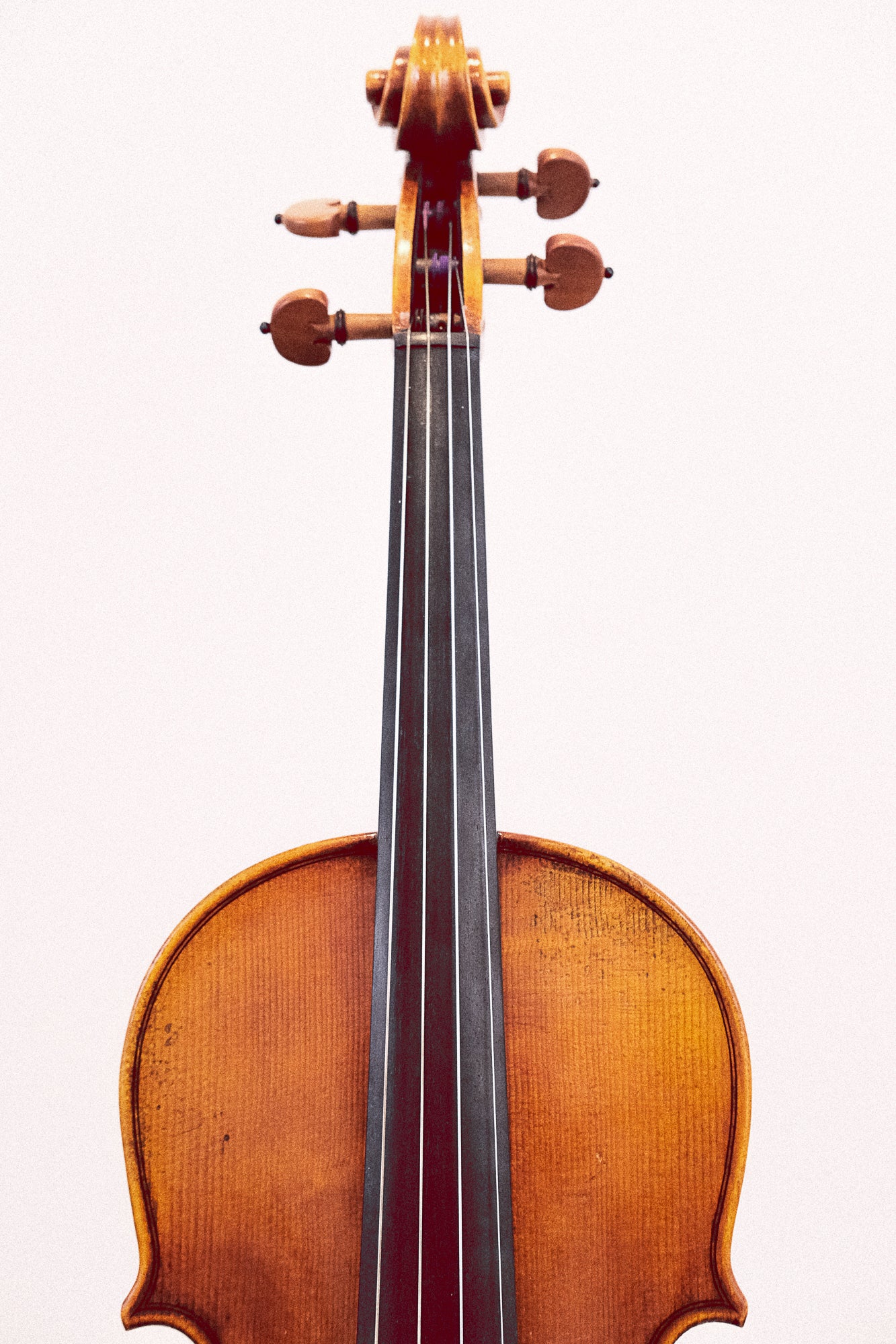 Pietro Lombardi Model VL502 Vln