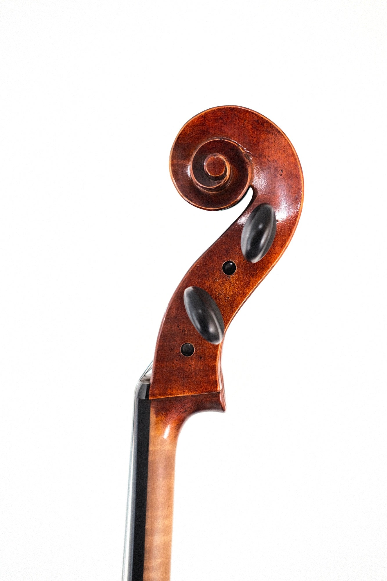Lothar Semmlinger 4/4 Cello, Model 133A