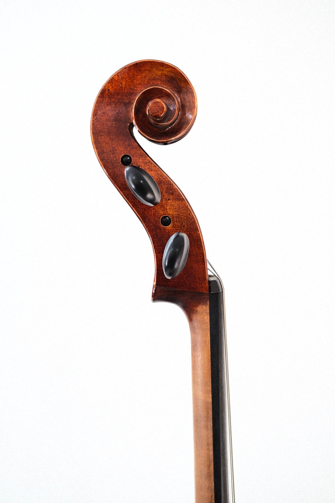 Lothar Semmlinger 4/4 Cello, Model 133A