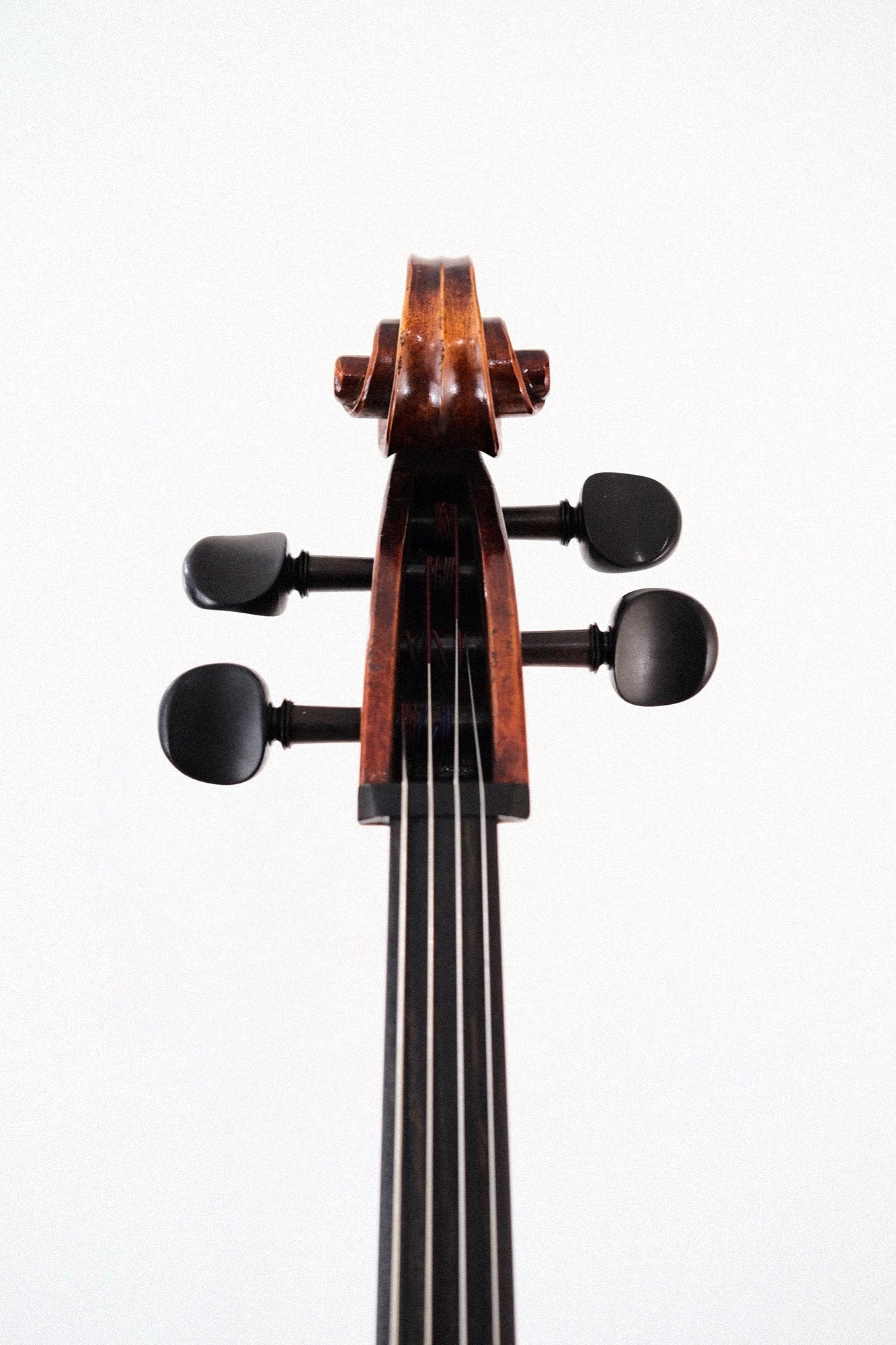 Lothar Semmlinger 4/4 Cello, Model 133A