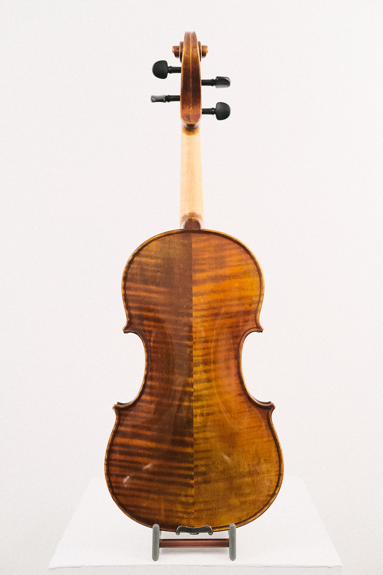Albert Nebel 4/4 Size Violin Model VL601 Series + Acoustic/Electric