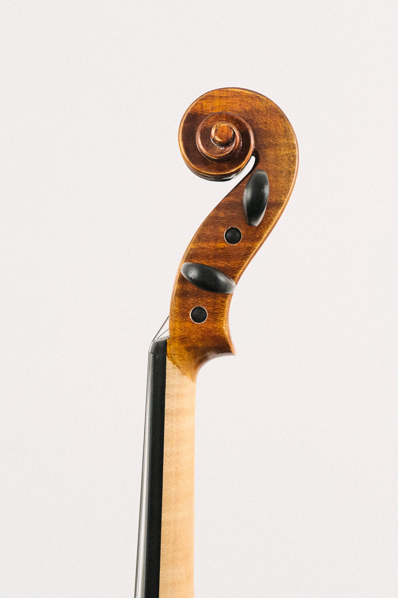 Albert Nebel 4/4 Size Violin Model VL601 Series + Acoustic/Electric