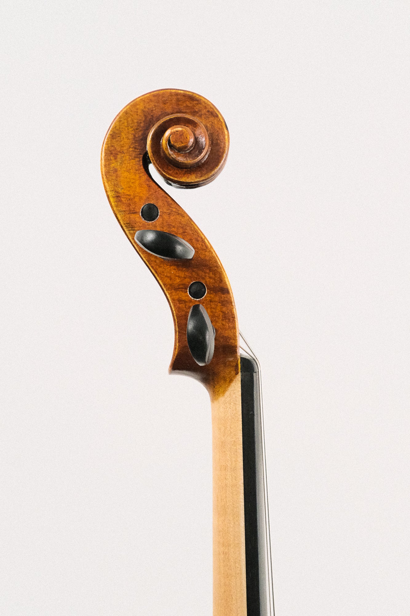 Albert Nebel 4/4 Size Violin Model VL601 Series + Acoustic/Electric