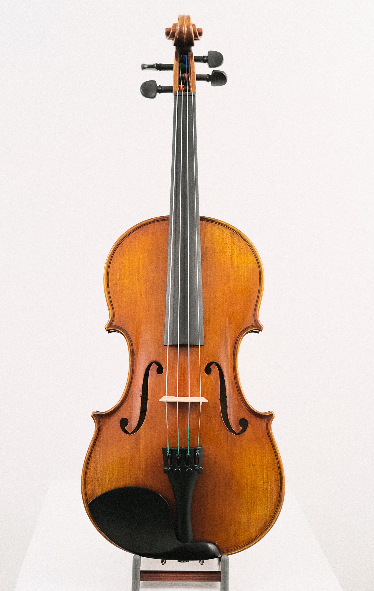 Albert Nebel 4/4 Size Violin Model VL601 Series + Acoustic/Electric