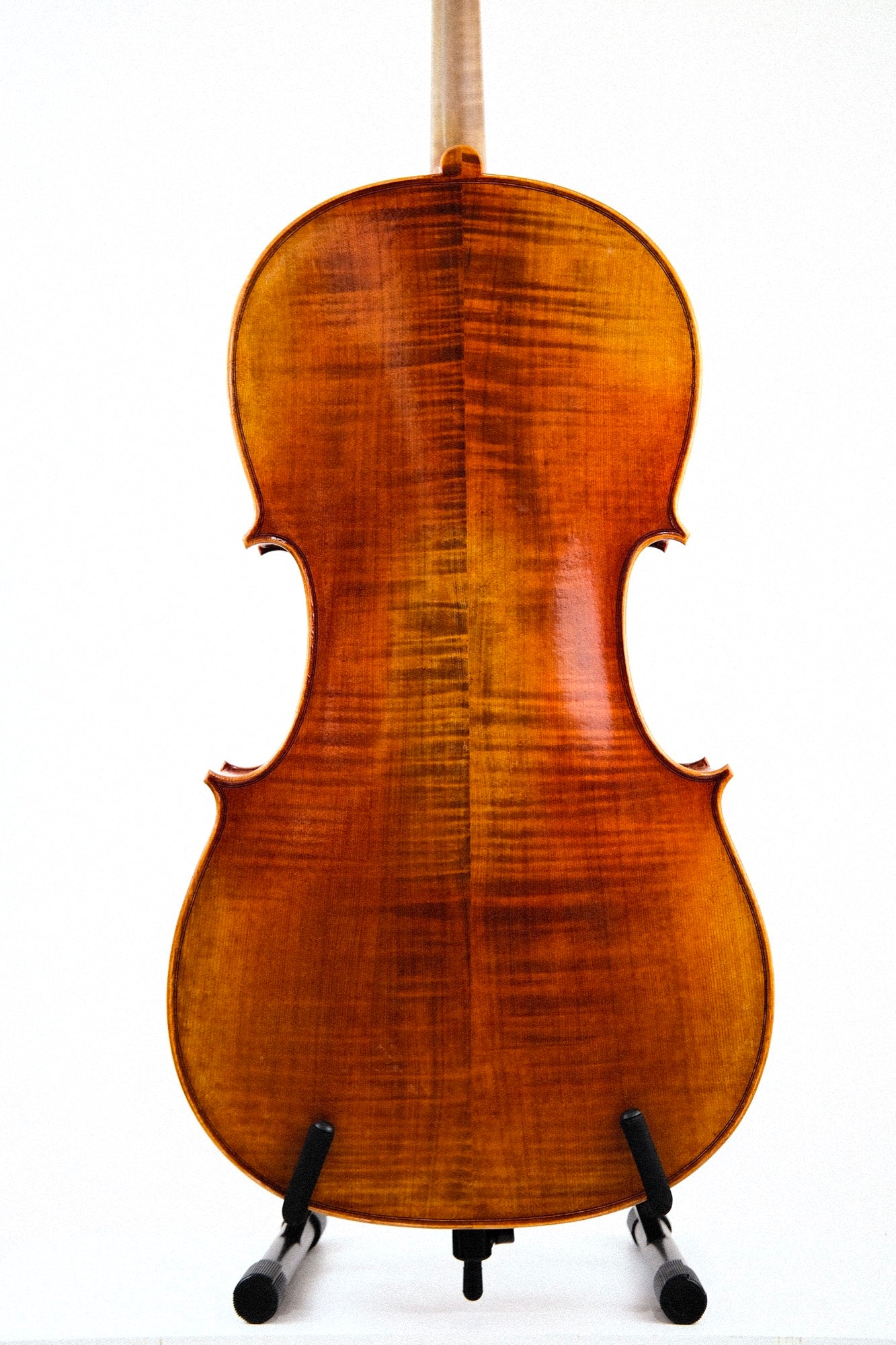 Novizio Cello 4/4 VC-SU521