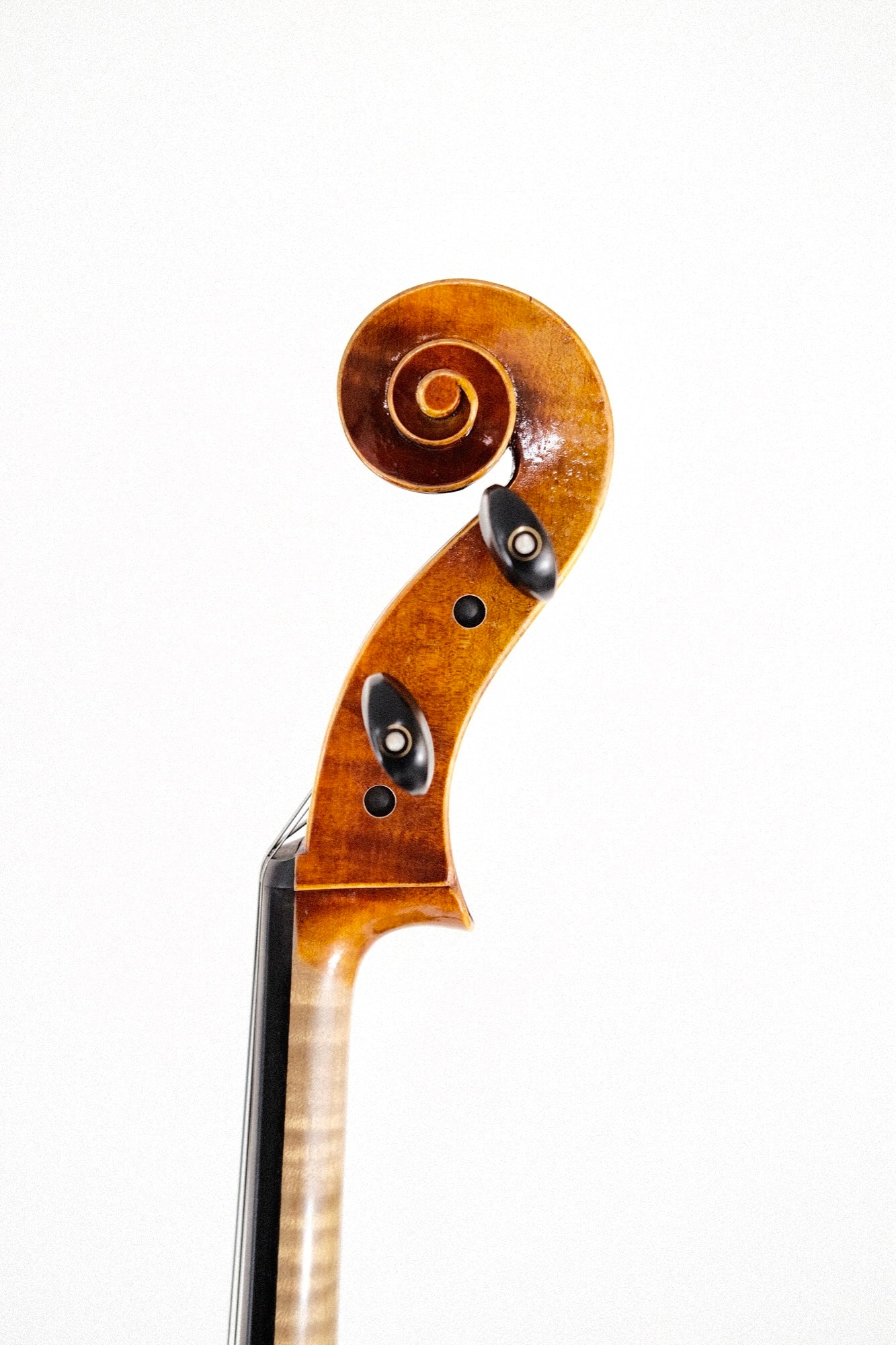 Novizio Cello 4/4 VC-SU521