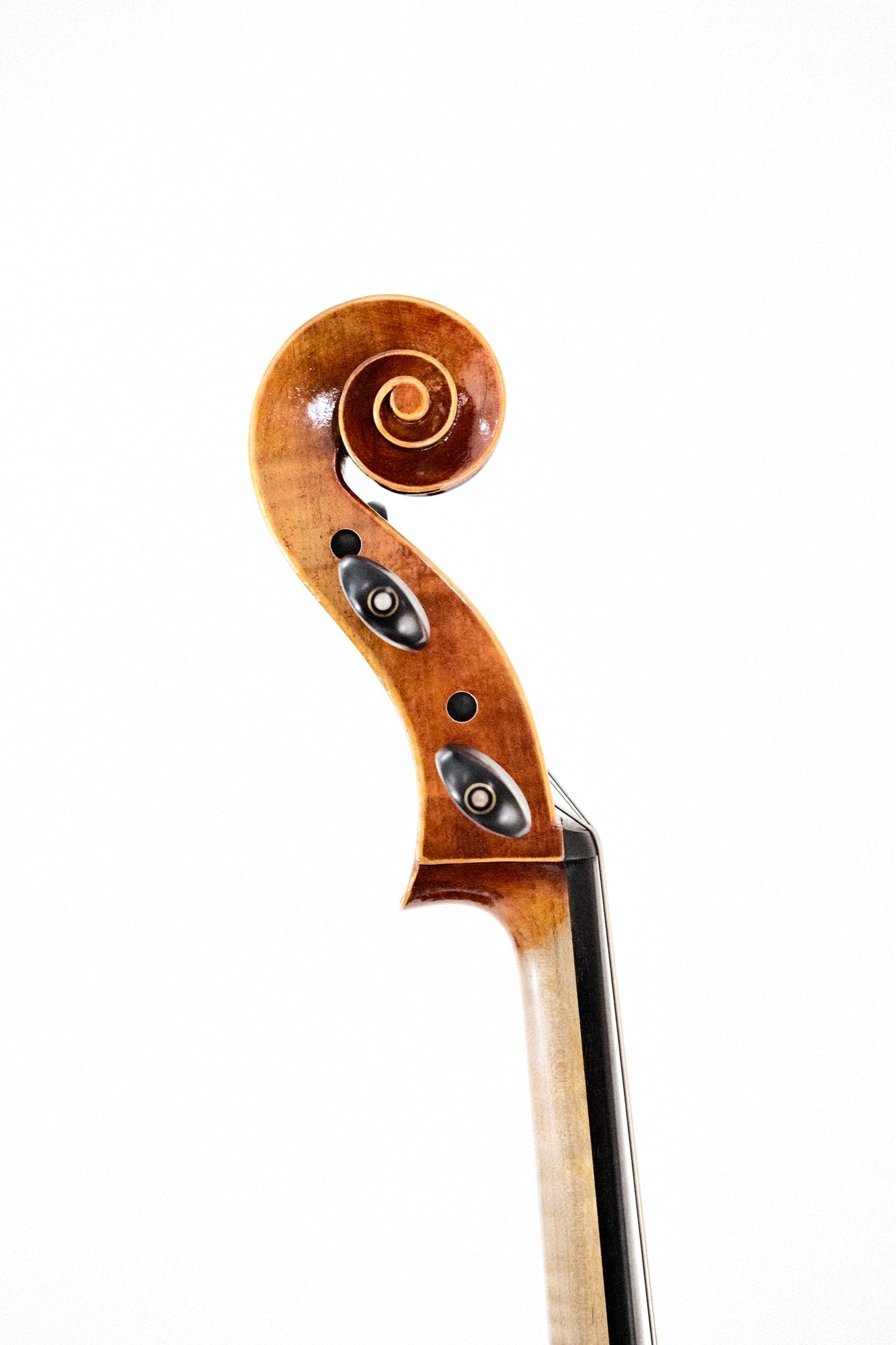Novizio Cello 4/4 VC-SU521