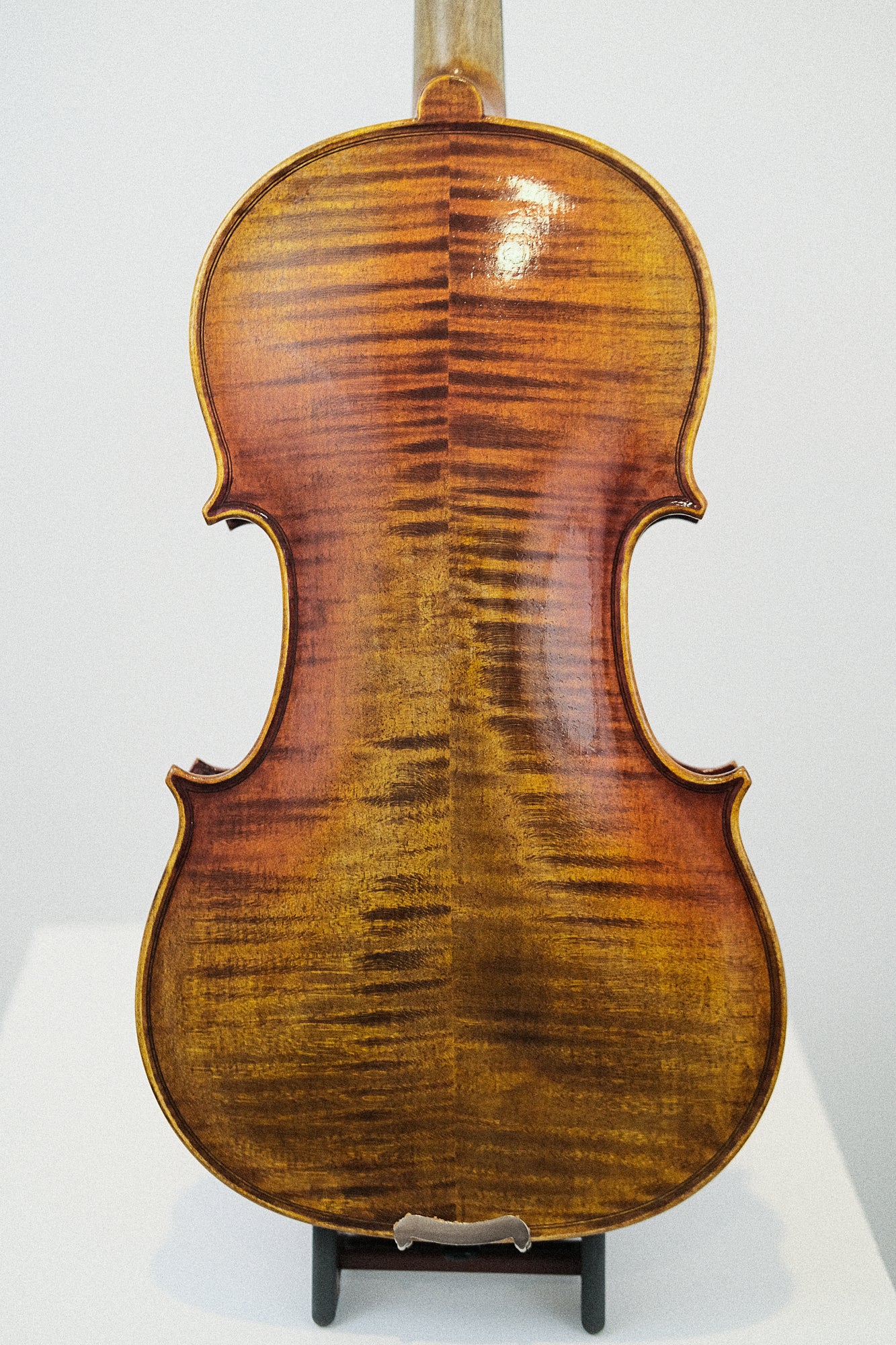 Novizio Violin SN-251 #1