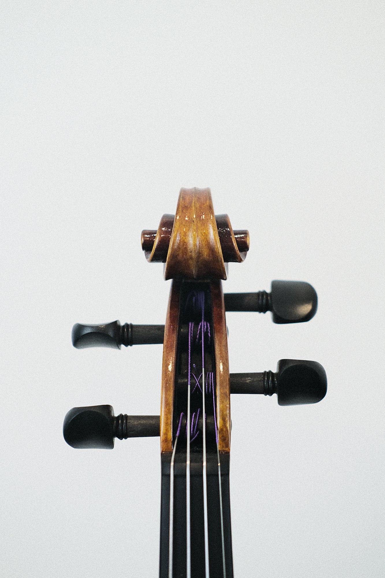 Novizio Violin SN-251 #1