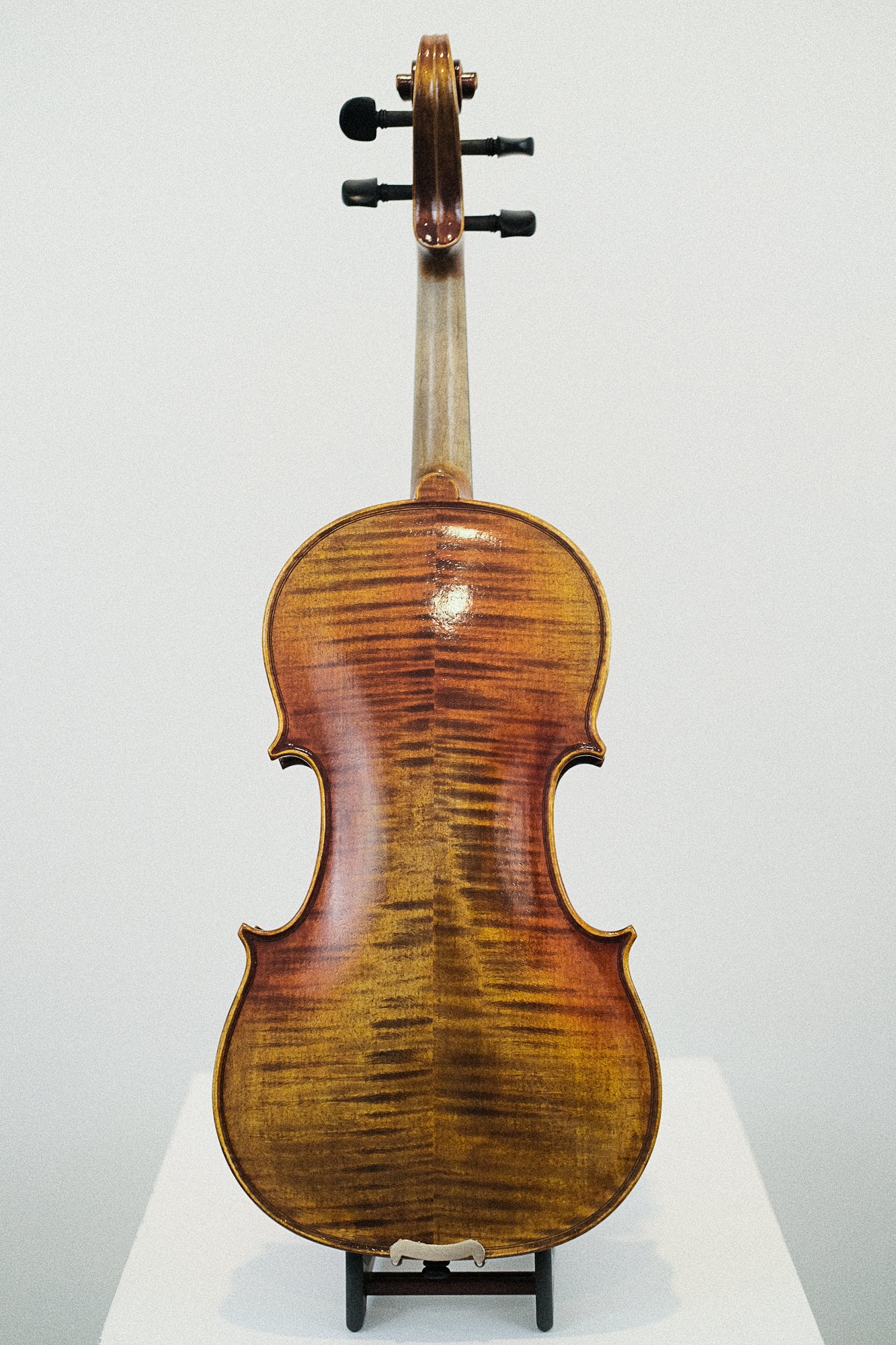 Novizio Violin SN-251 #1