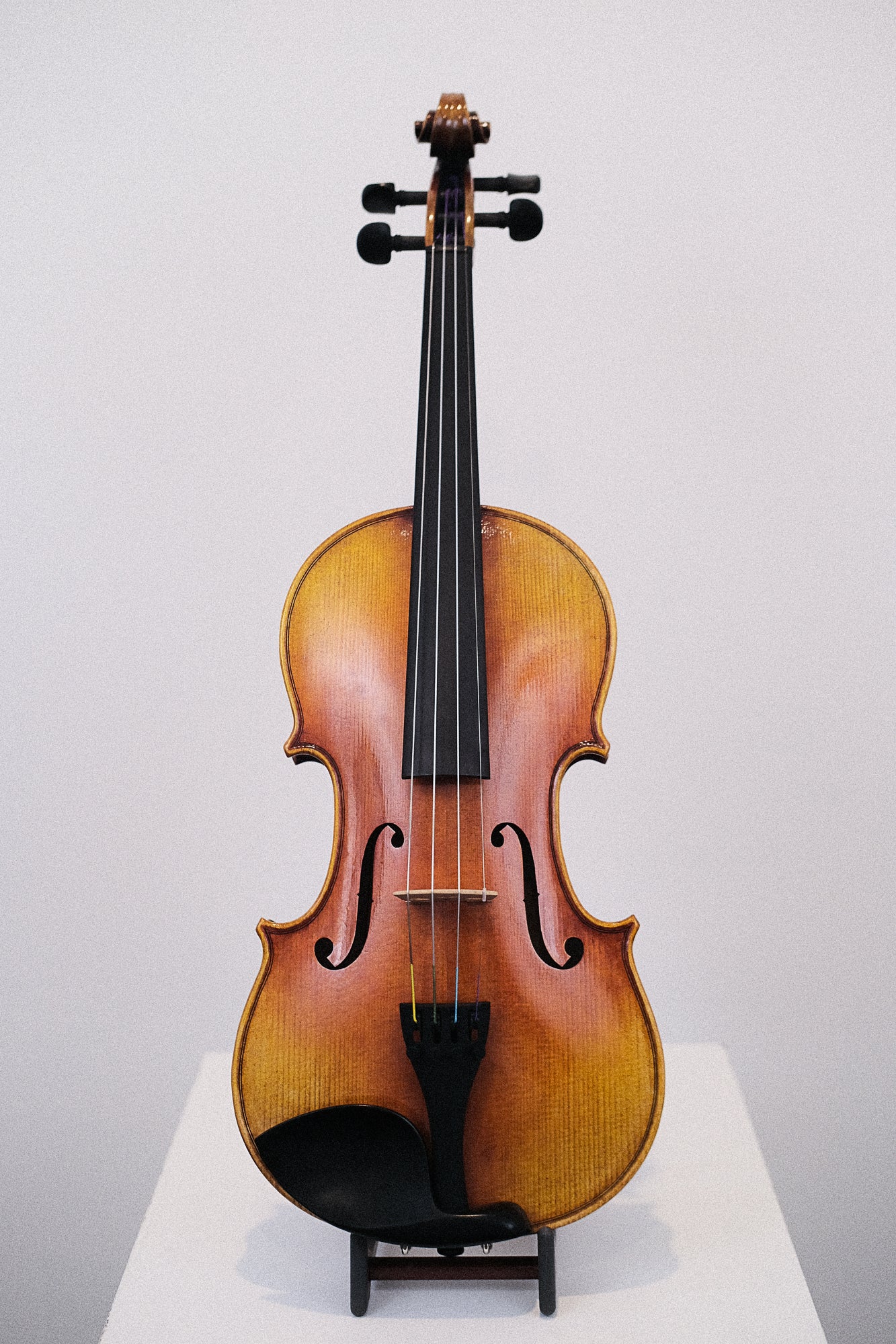 Novizio Violin SN-251 #1
