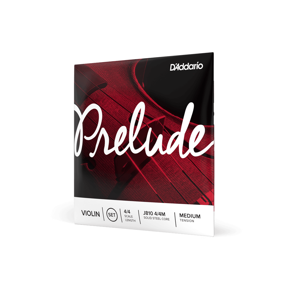 Prelude 4/4 Violin Set - J810 4/4M