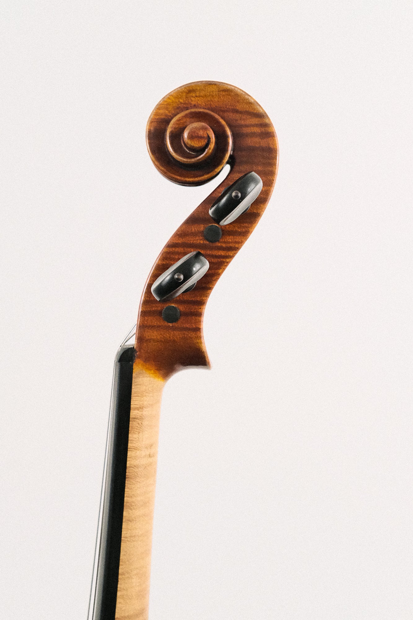 Revelle 4/4 Violin Model 700