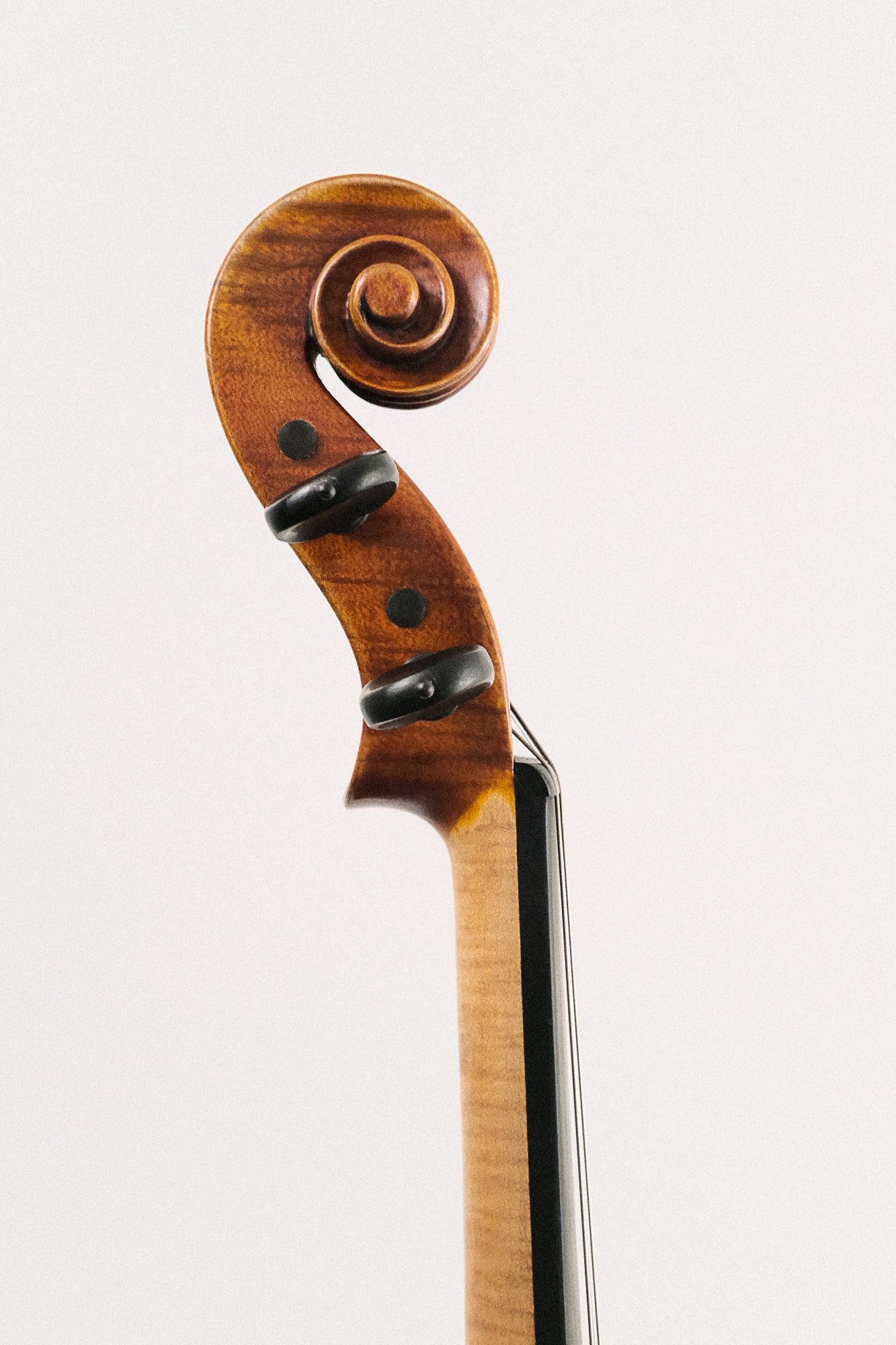 Revelle 4/4 Violin Model 700