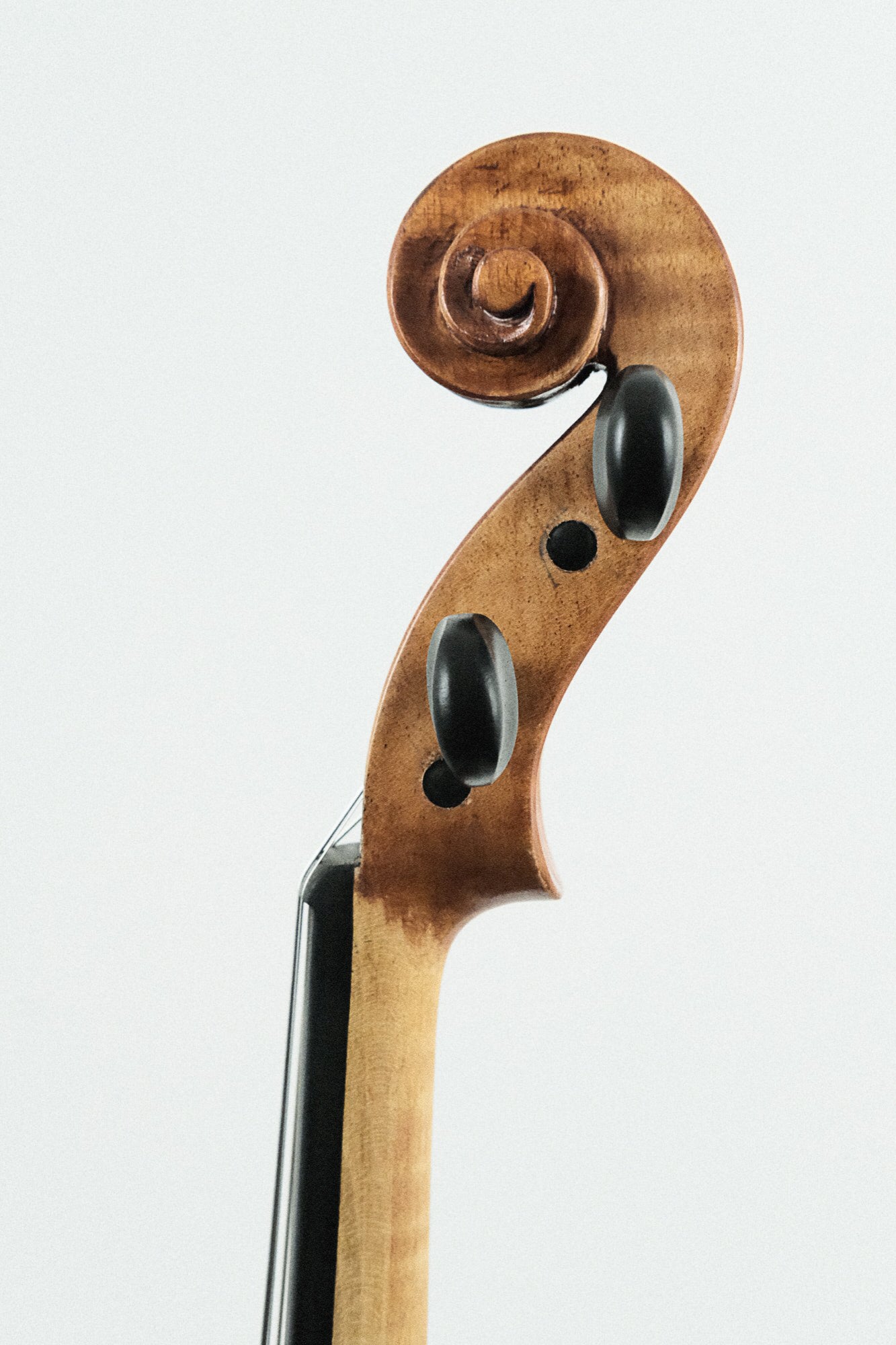 Soniat 4/4 Violin Outfit