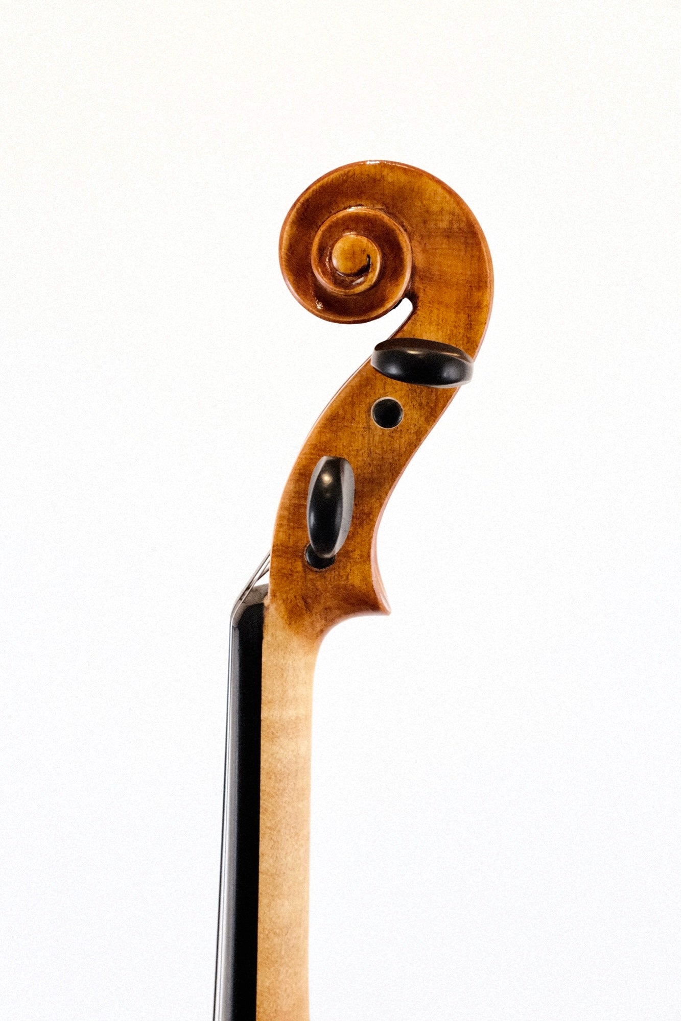 Soniat Viola Outfit