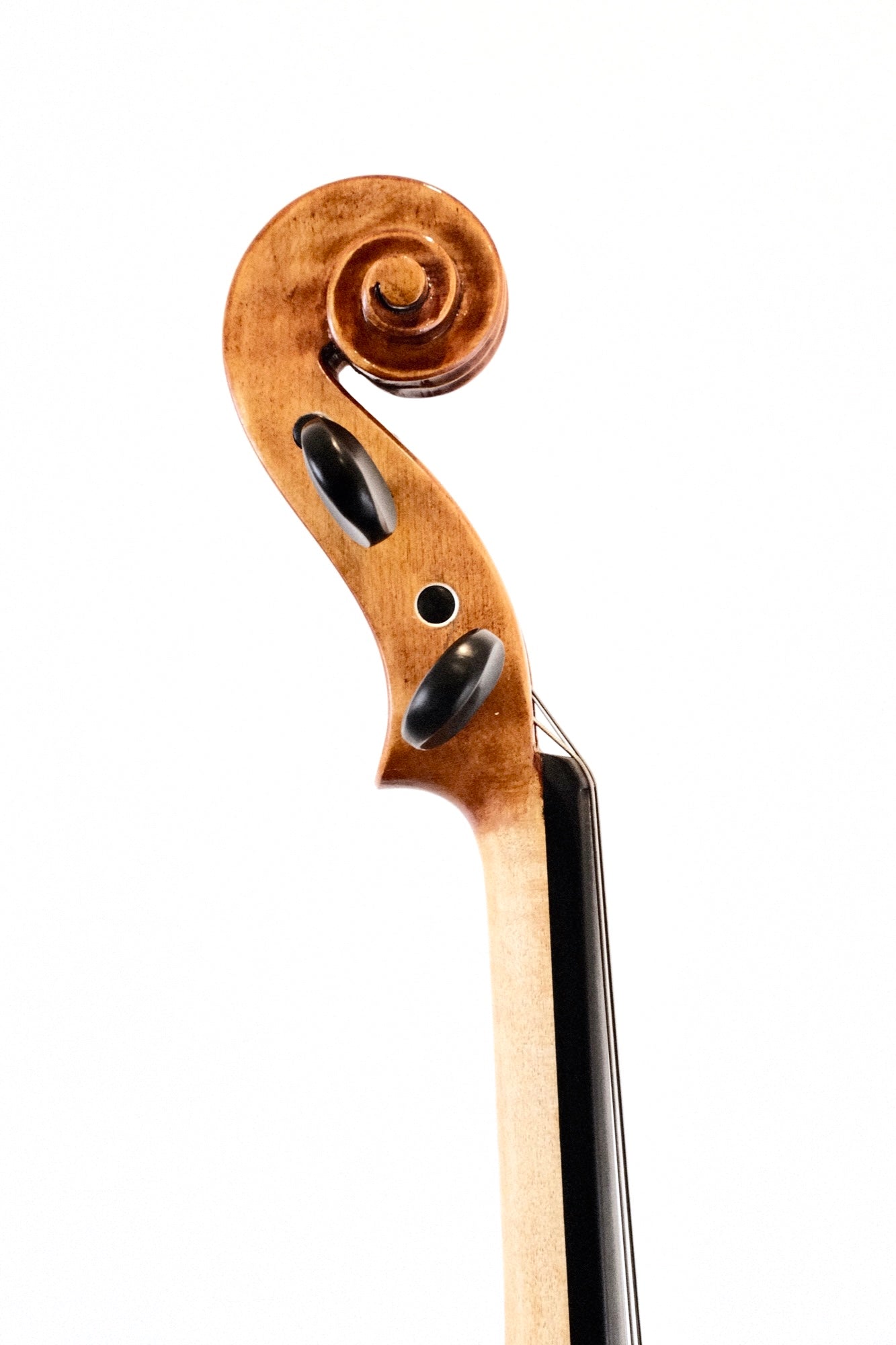 Soniat Viola Outfit