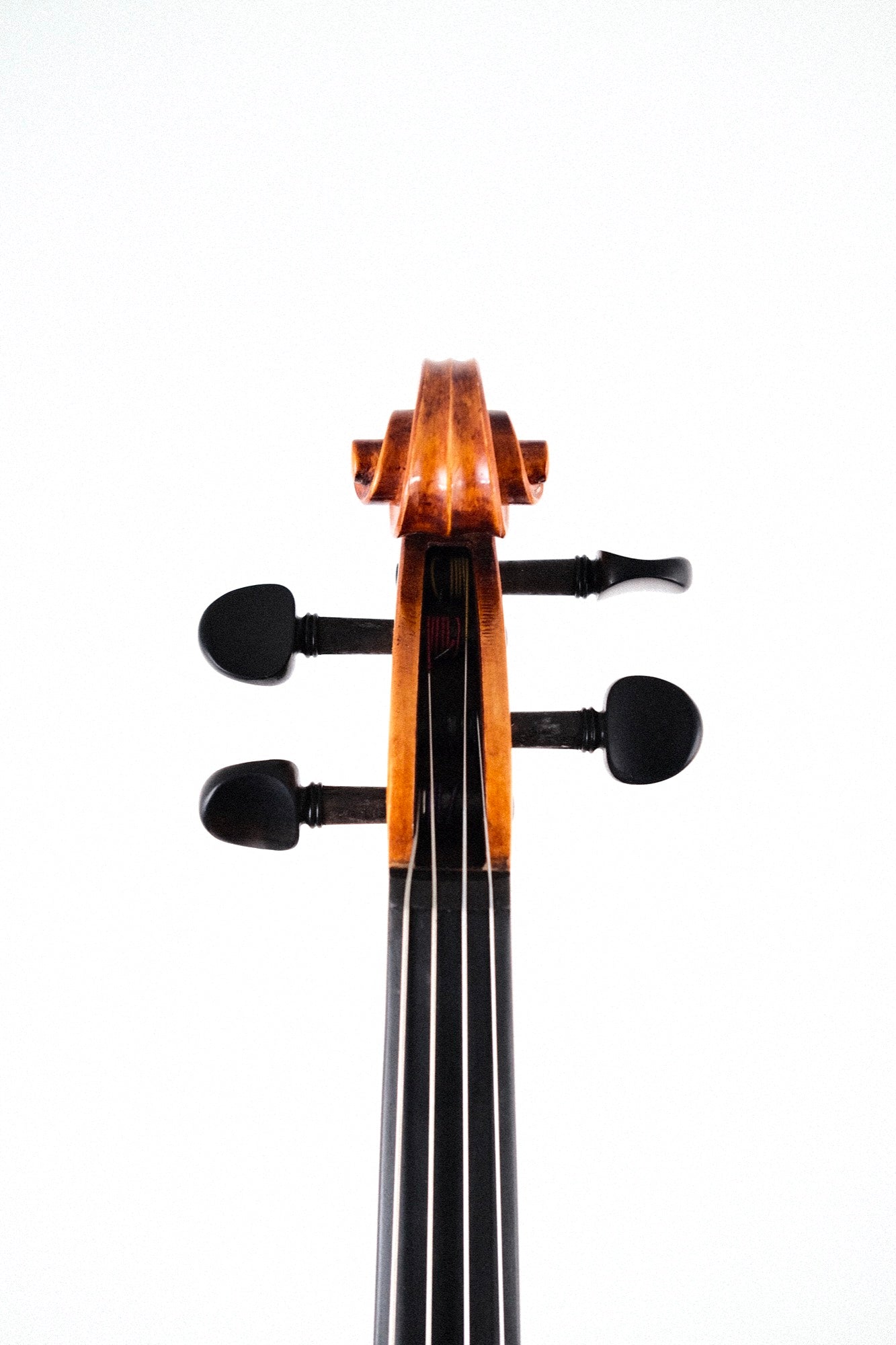 Soniat Viola Outfit