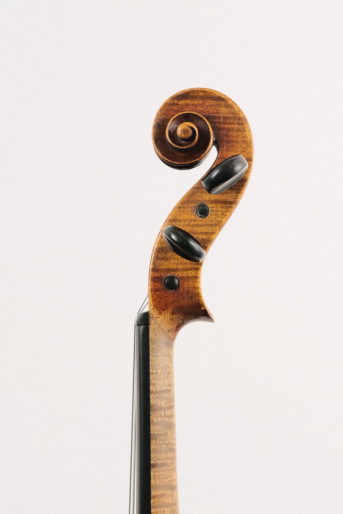 Antonio Curatoli Amati copy 1910