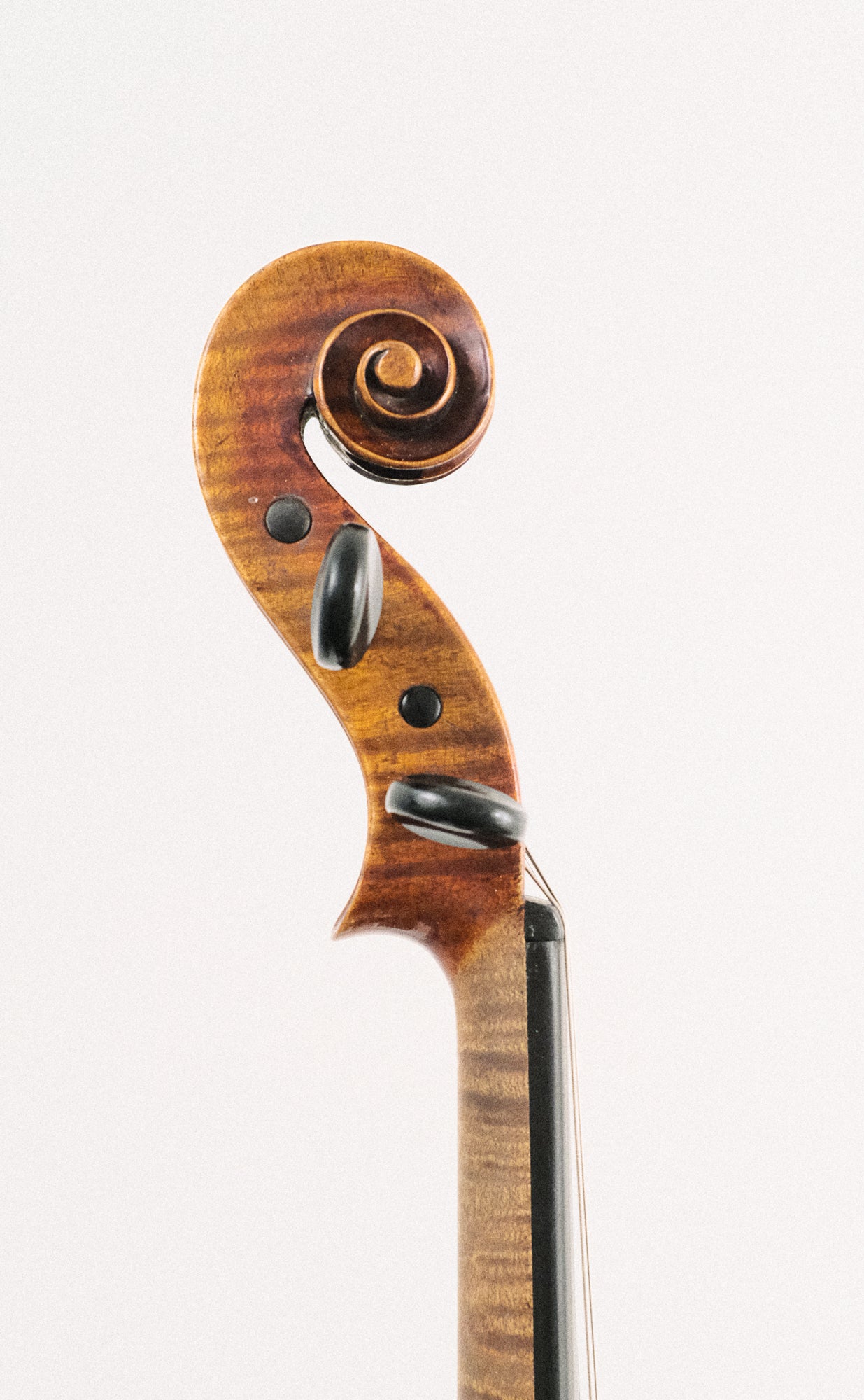 Antonio Curatoli Amati copy 1910