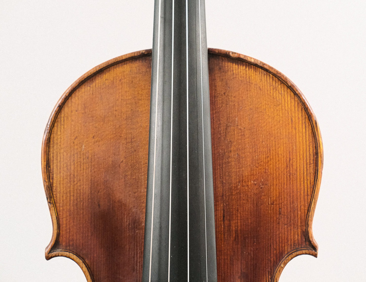 Antonio Curatoli Amati copy 1910