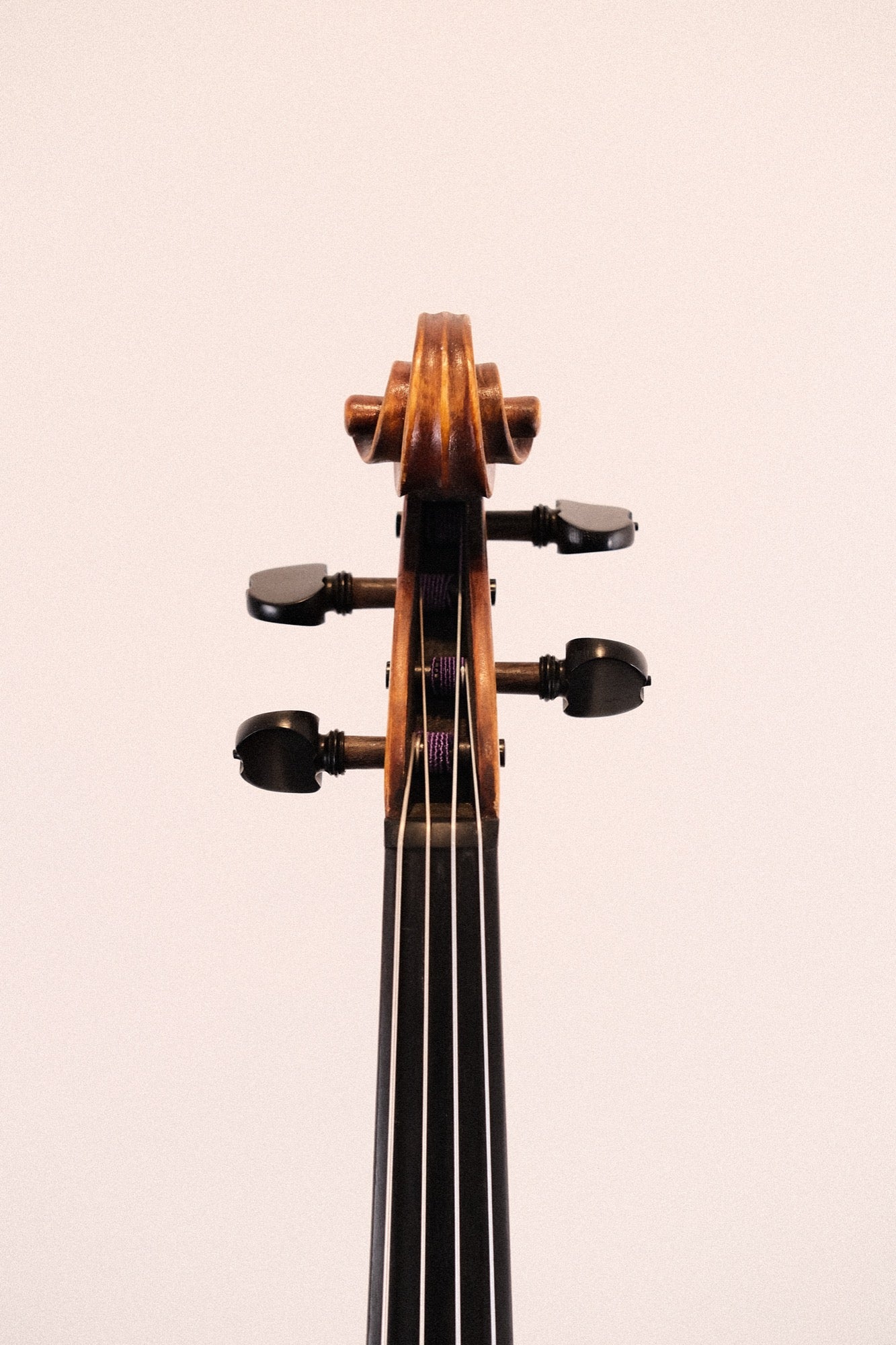 Jay Haide Maggini Viola 15 1/4"