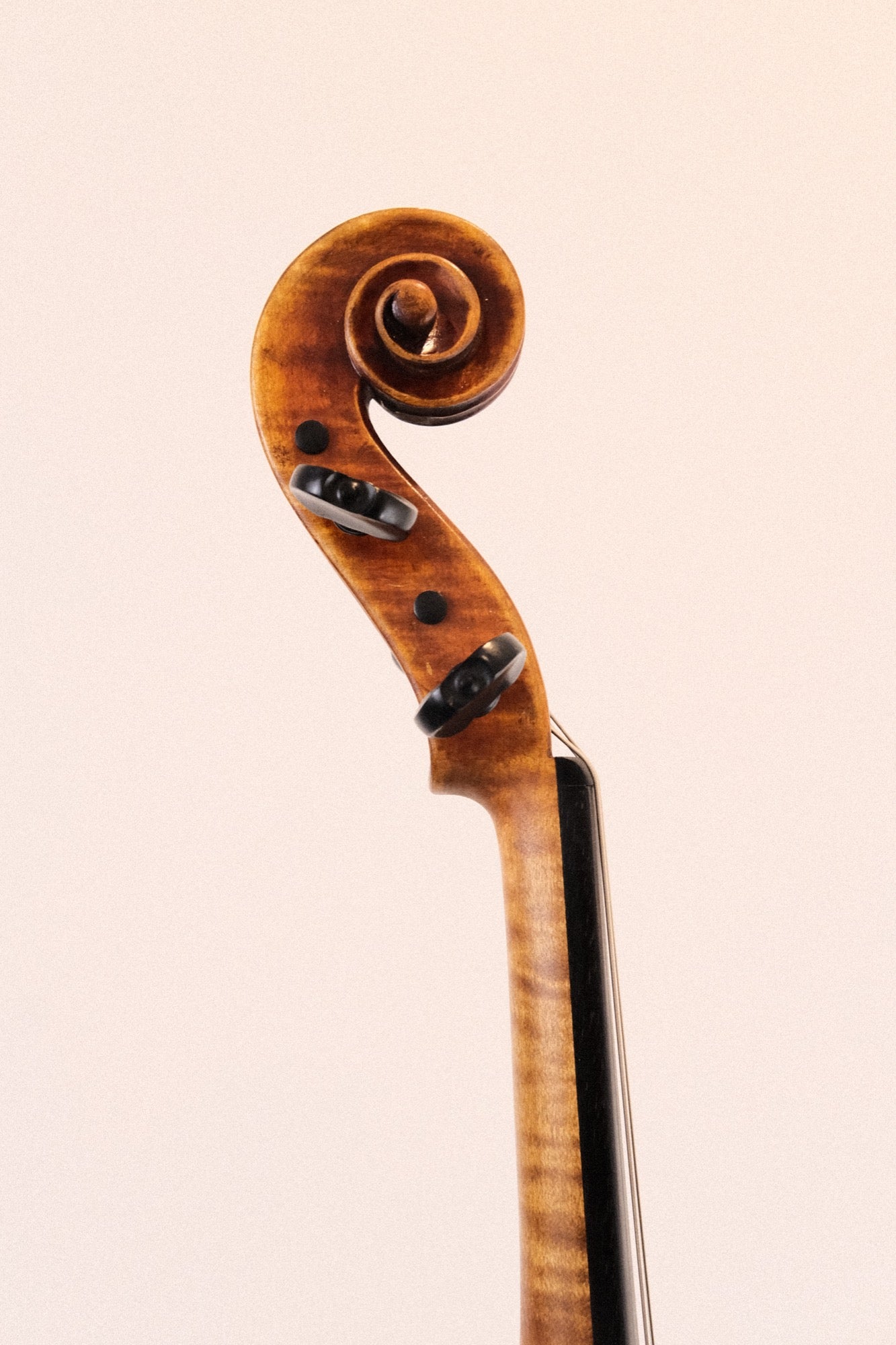 Jay Haide Maggini Viola 15 1/4"