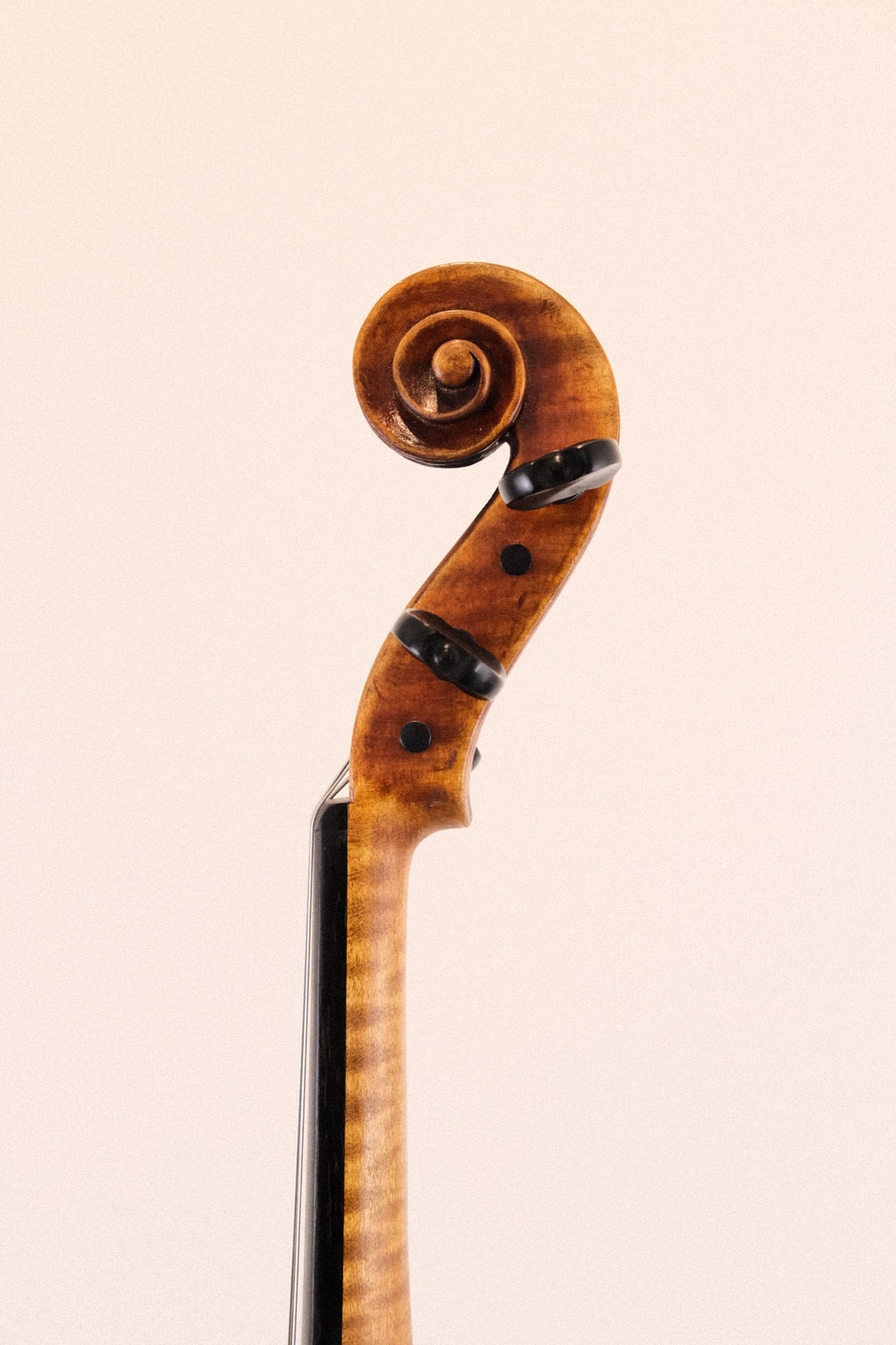 Jay Haide Maggini Viola 15 1/4"