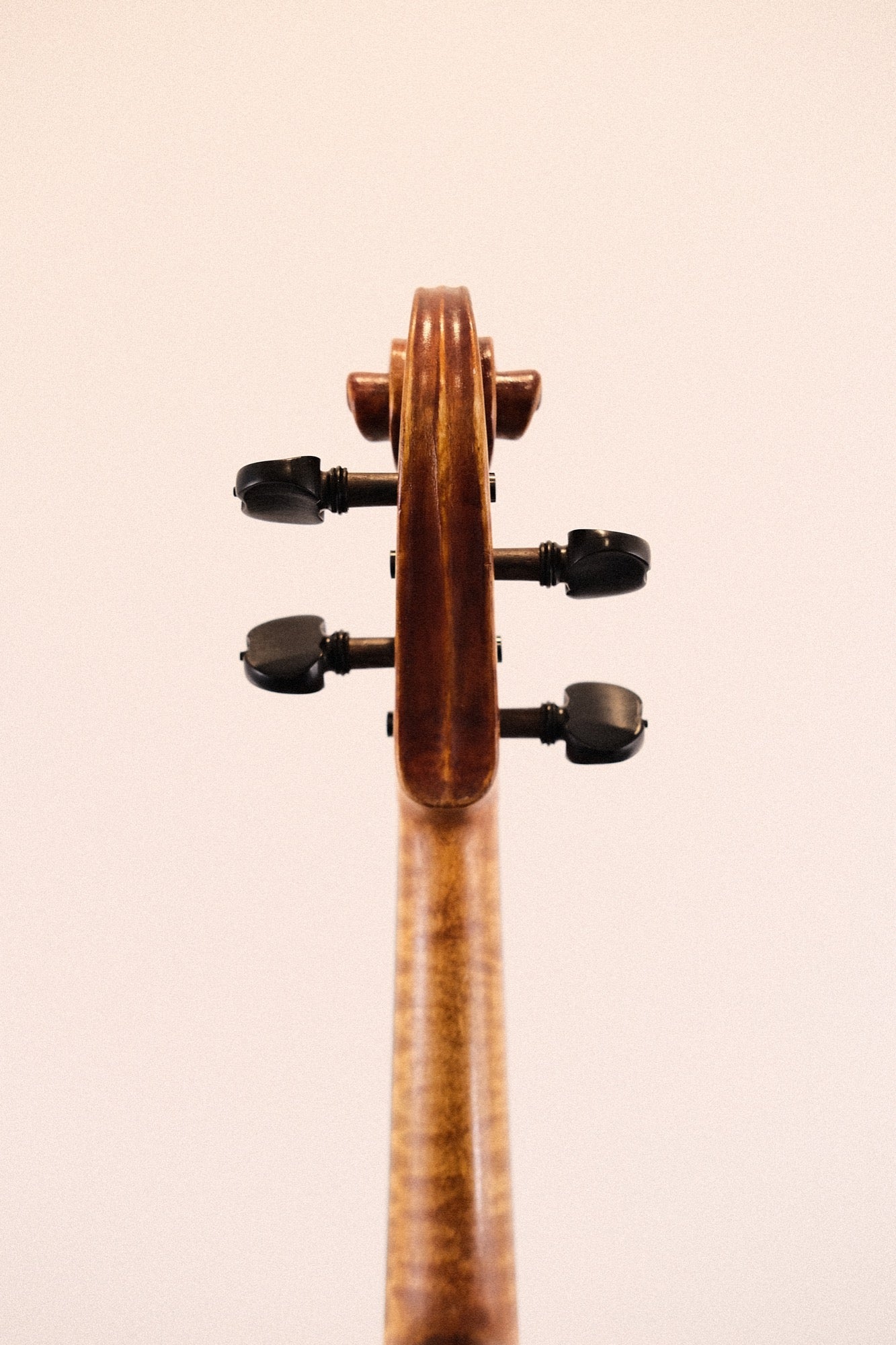 Jay Haide Maggini Viola 15 1/4"