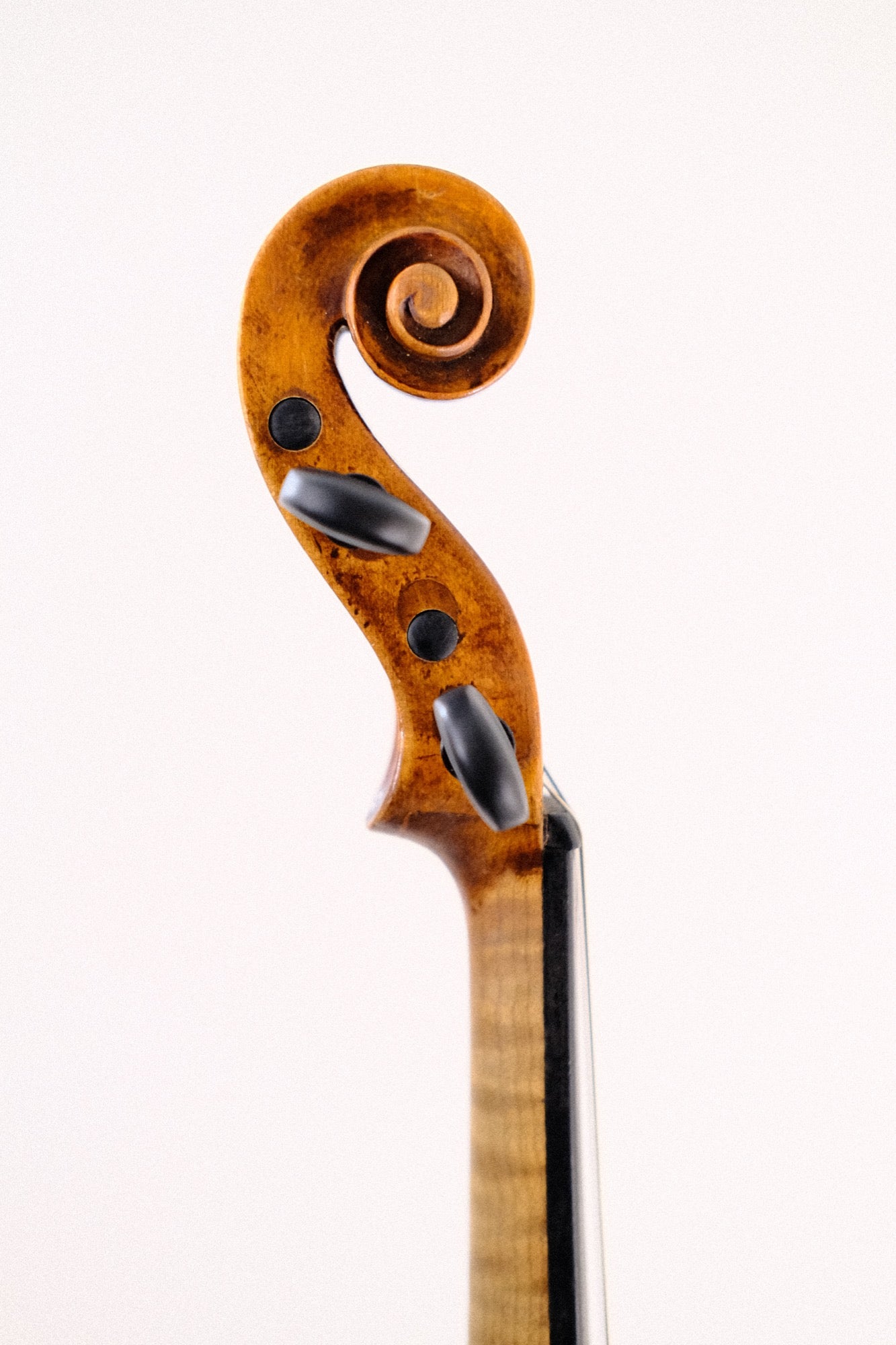 Andreas Morelli Violin - 4/4